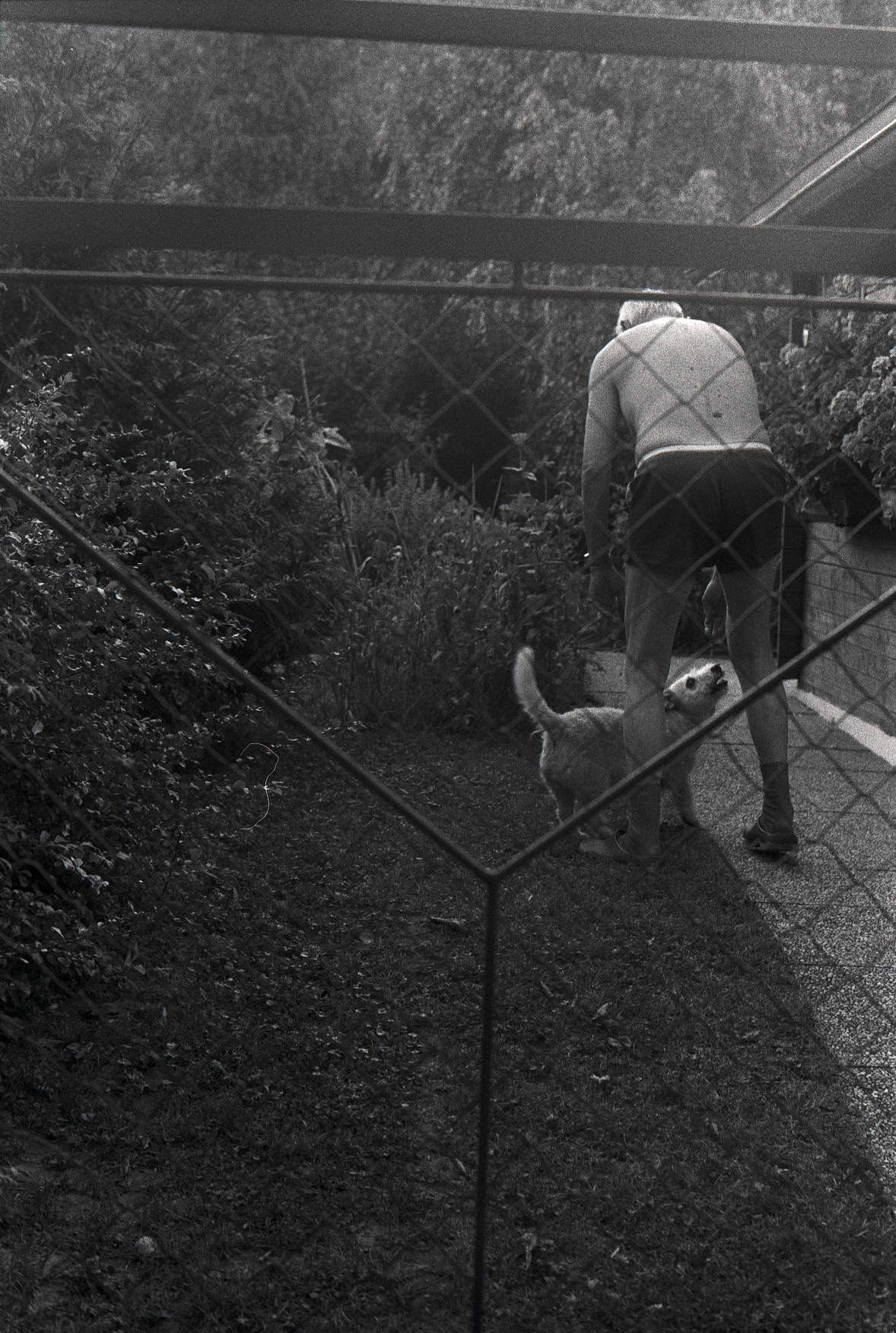 Screen Shot 2023-07-06 at 9.30.26 PM.png