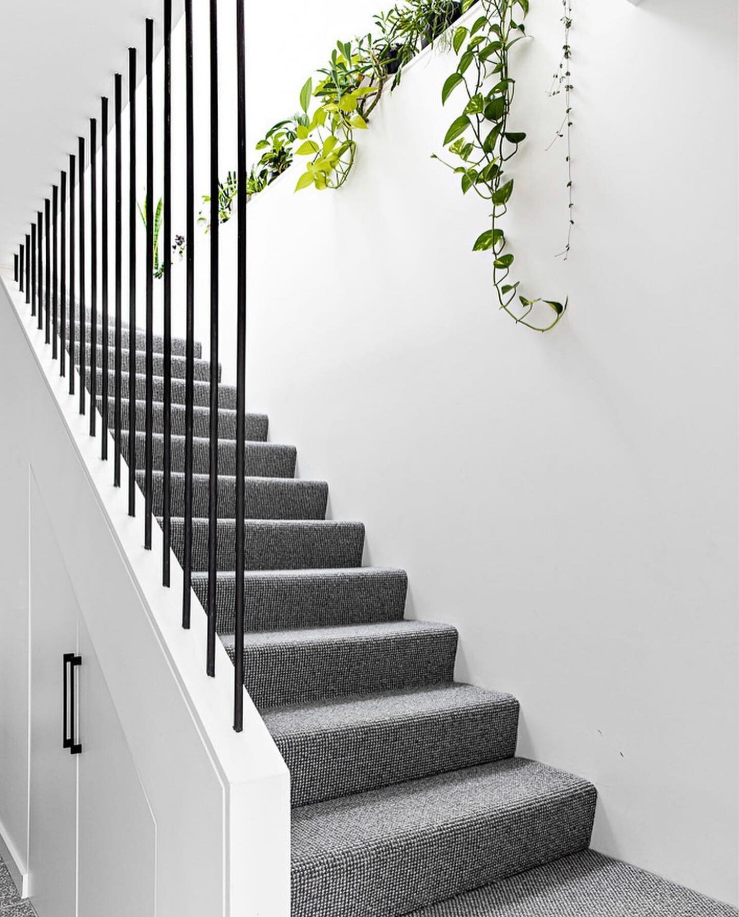 This pretty little staircase was awarded the &lsquo;Best of Houzz Design 2021&rsquo;. 🛠🏡

Designed by architect @kittyleearchitecture and built by us! 🛠

Thank you to the @houzzau community. What a treat! 🙏

Photography by @the.palm.co