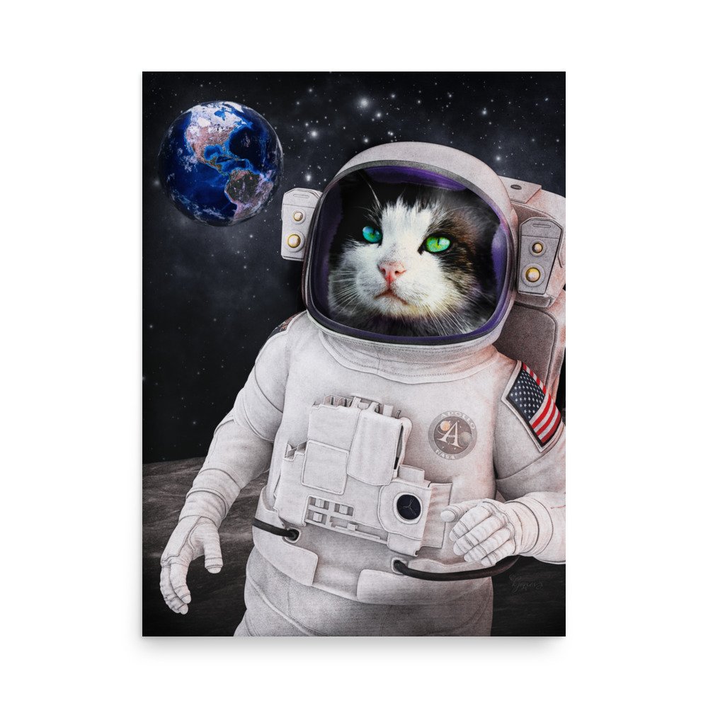 enhanced-matte-paper-poster-(in)-18x24-front-6366aa0008fda.jpg
