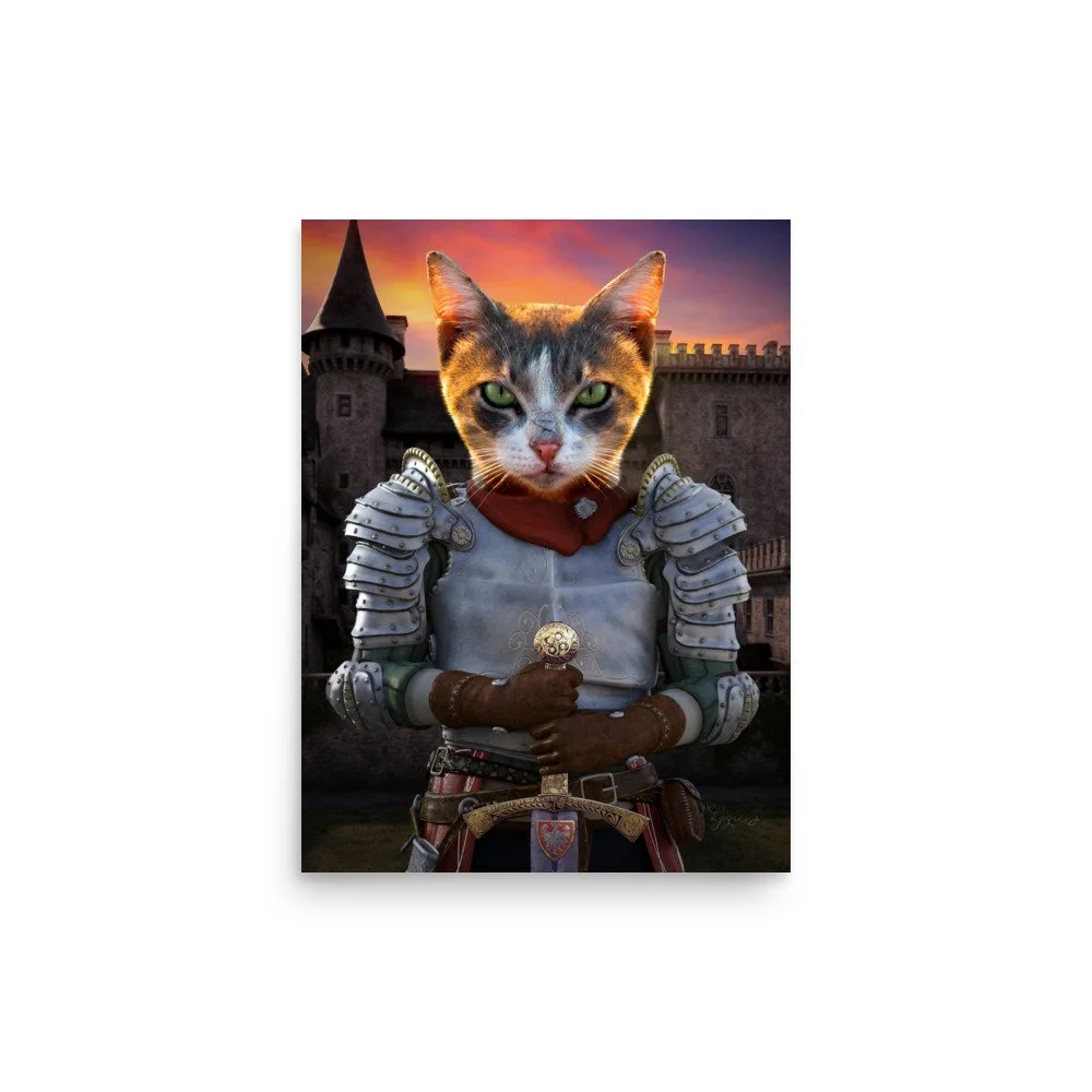 enhanced-matte-paper-poster-(in)-12x16-front-665118e718b2f.jpg