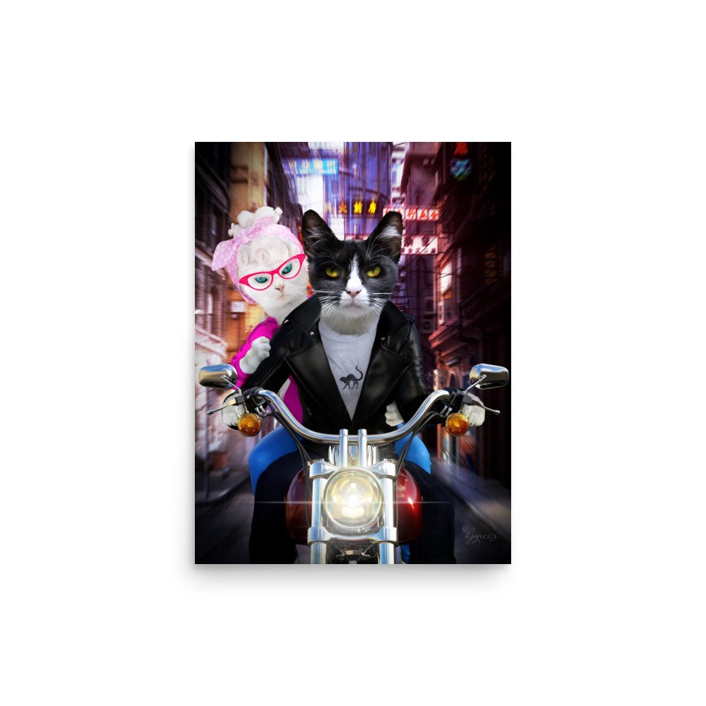 enhanced-matte-paper-poster-(in)-12x16-front-6743899f1eb2c.jpg
