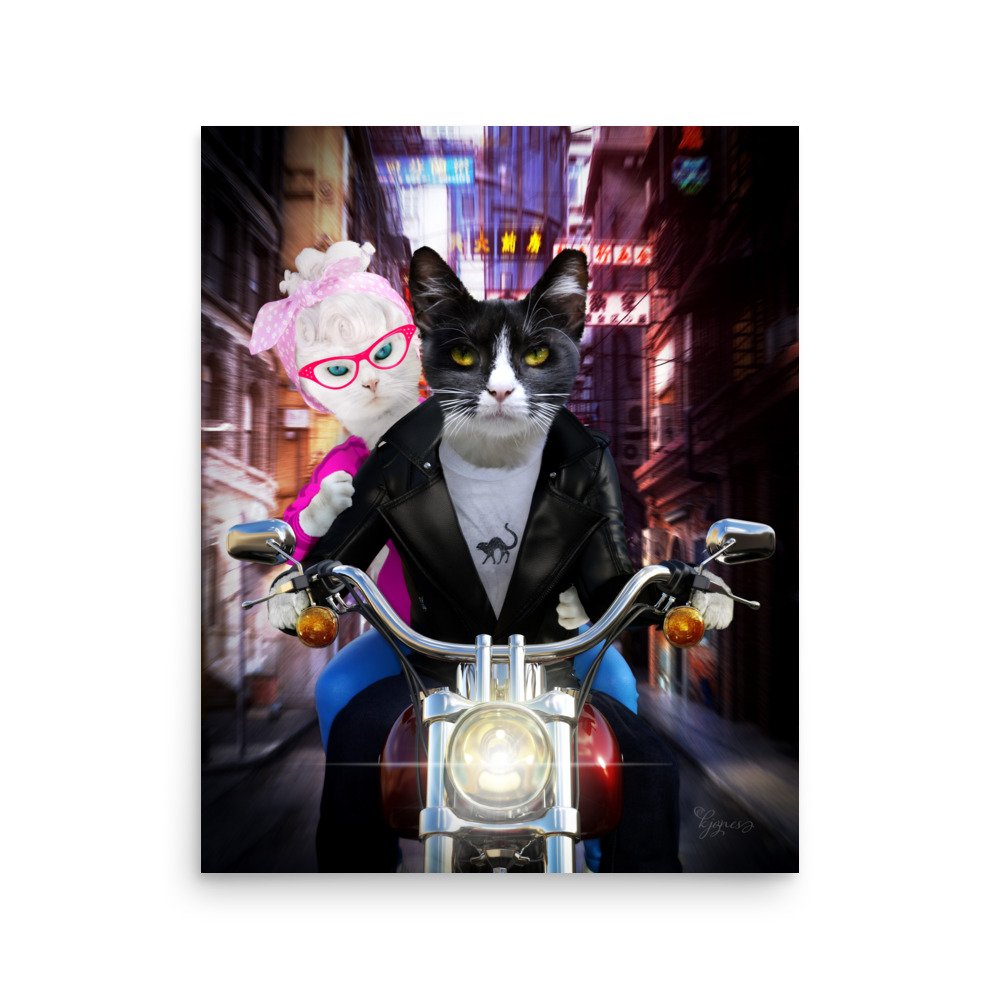 enhanced-matte-paper-poster-(in)-16x20-front-6743899f1ebf6.jpg