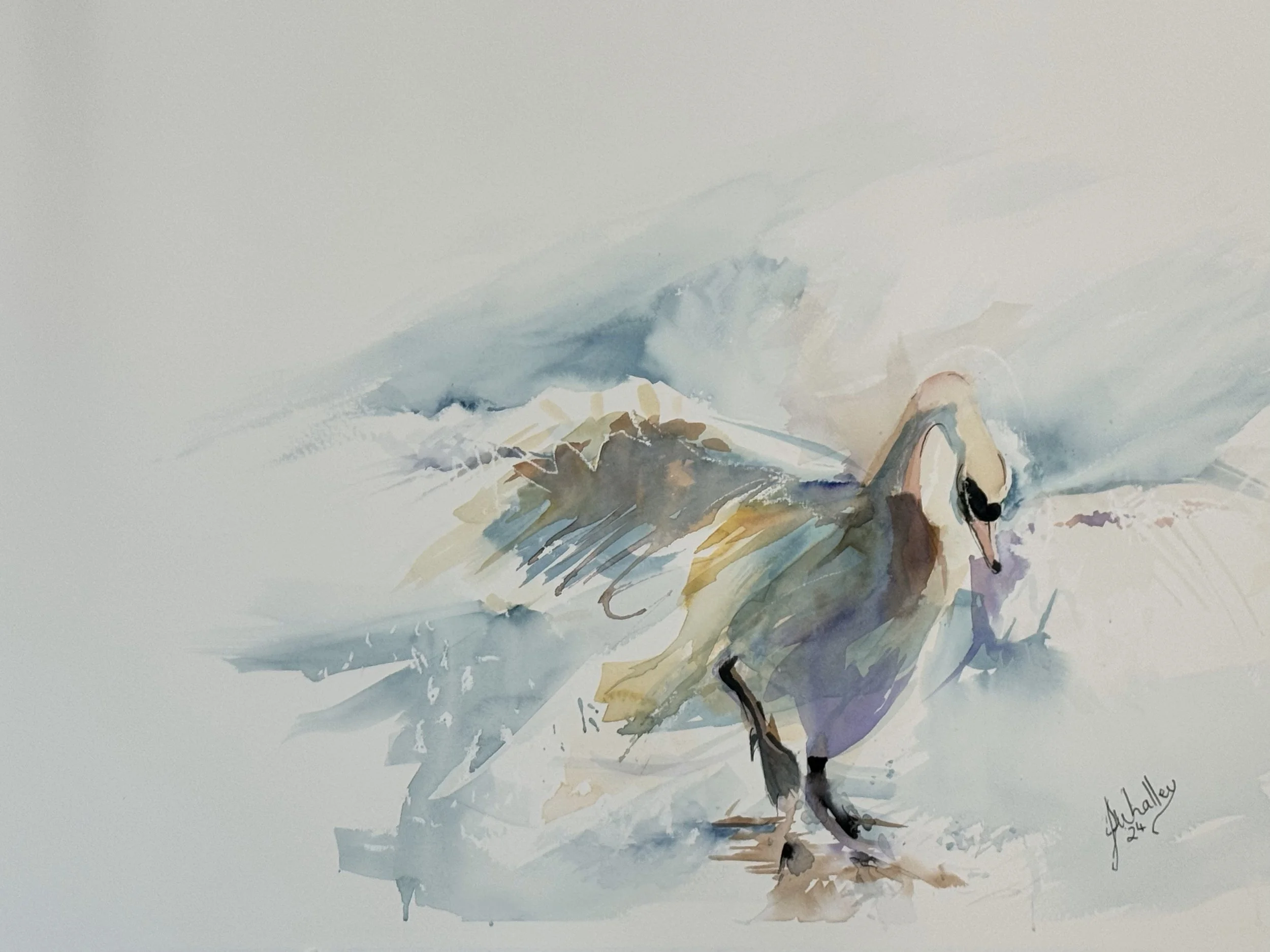 Landing Swan