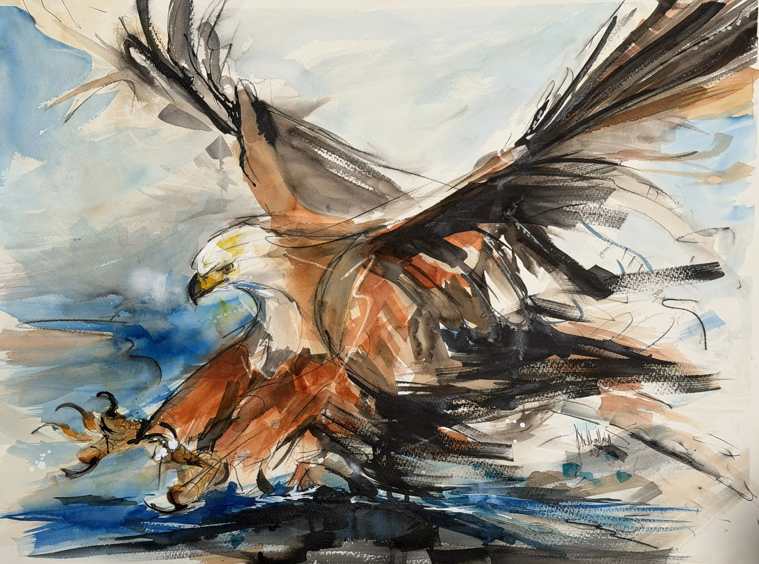Kariba Fish Eagle