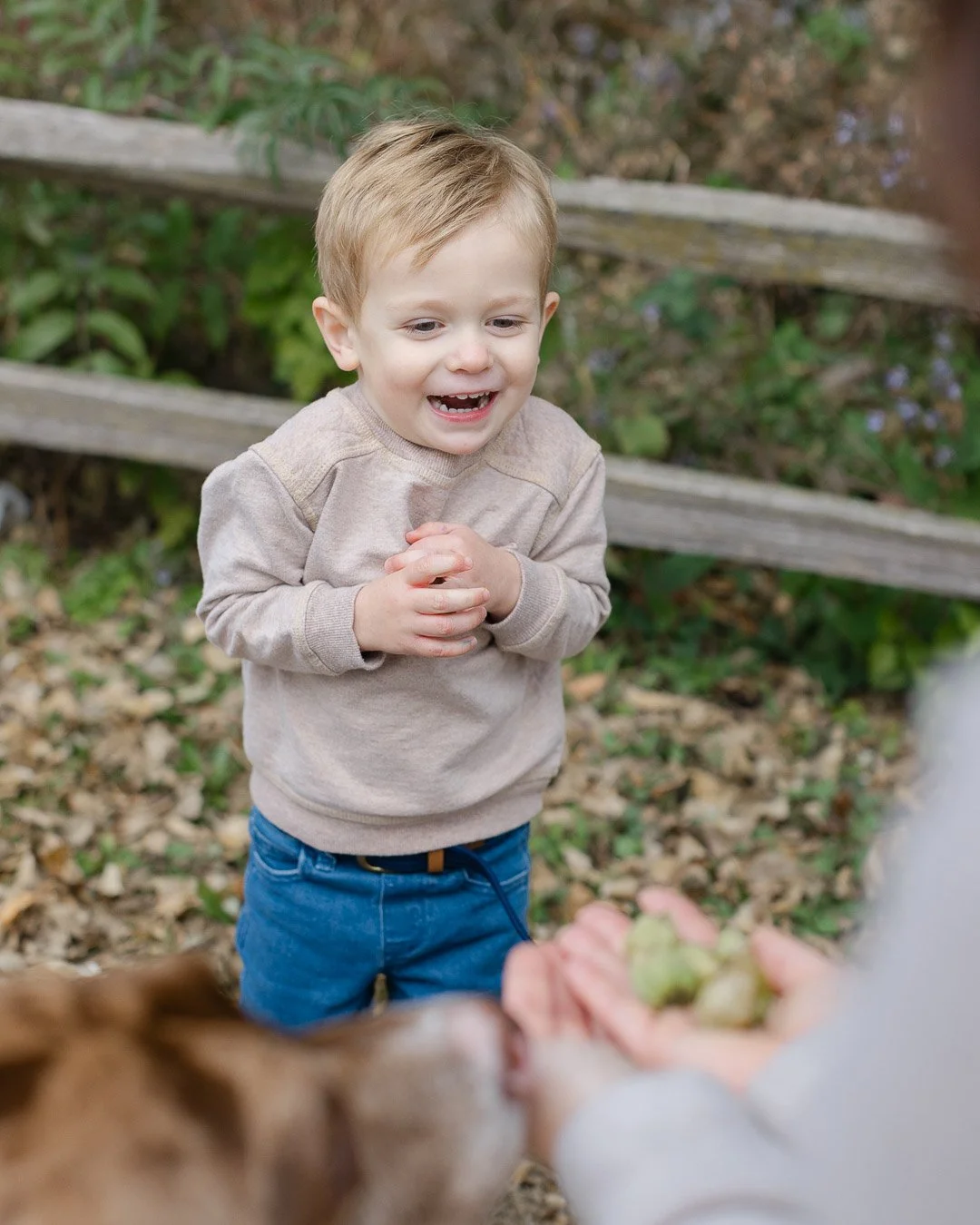 Cirone Smith Fall 2025_CLPhotography_Chicago_IG-15.JPG