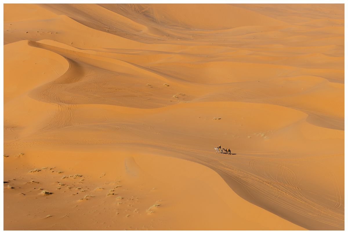 Camel caravan through the Sahara desert in Morocco