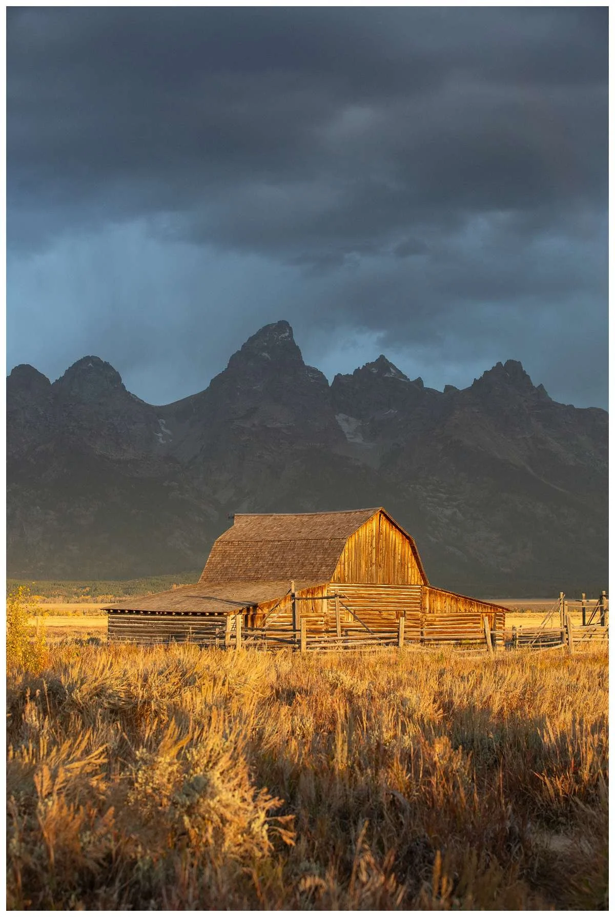 Golden light hitting the barns at Mormon Row, in front of stormy clouds at Grand Teton National Park