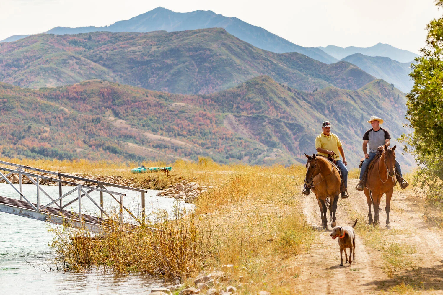 About — 533 N Left Fork Hobble Creek