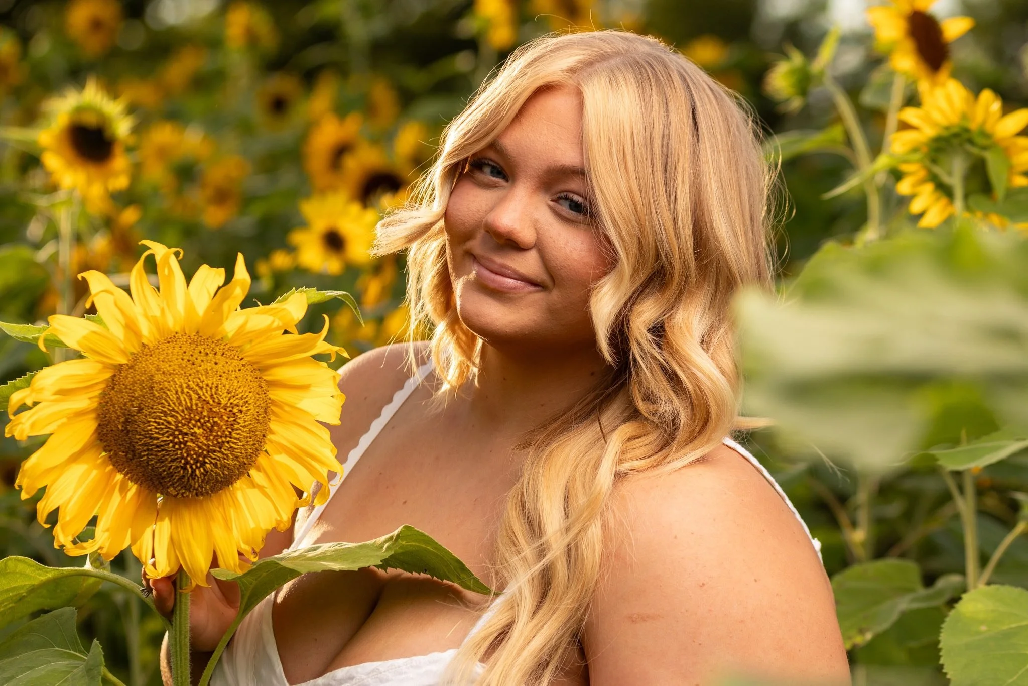 sunflower senior sunset.jpg