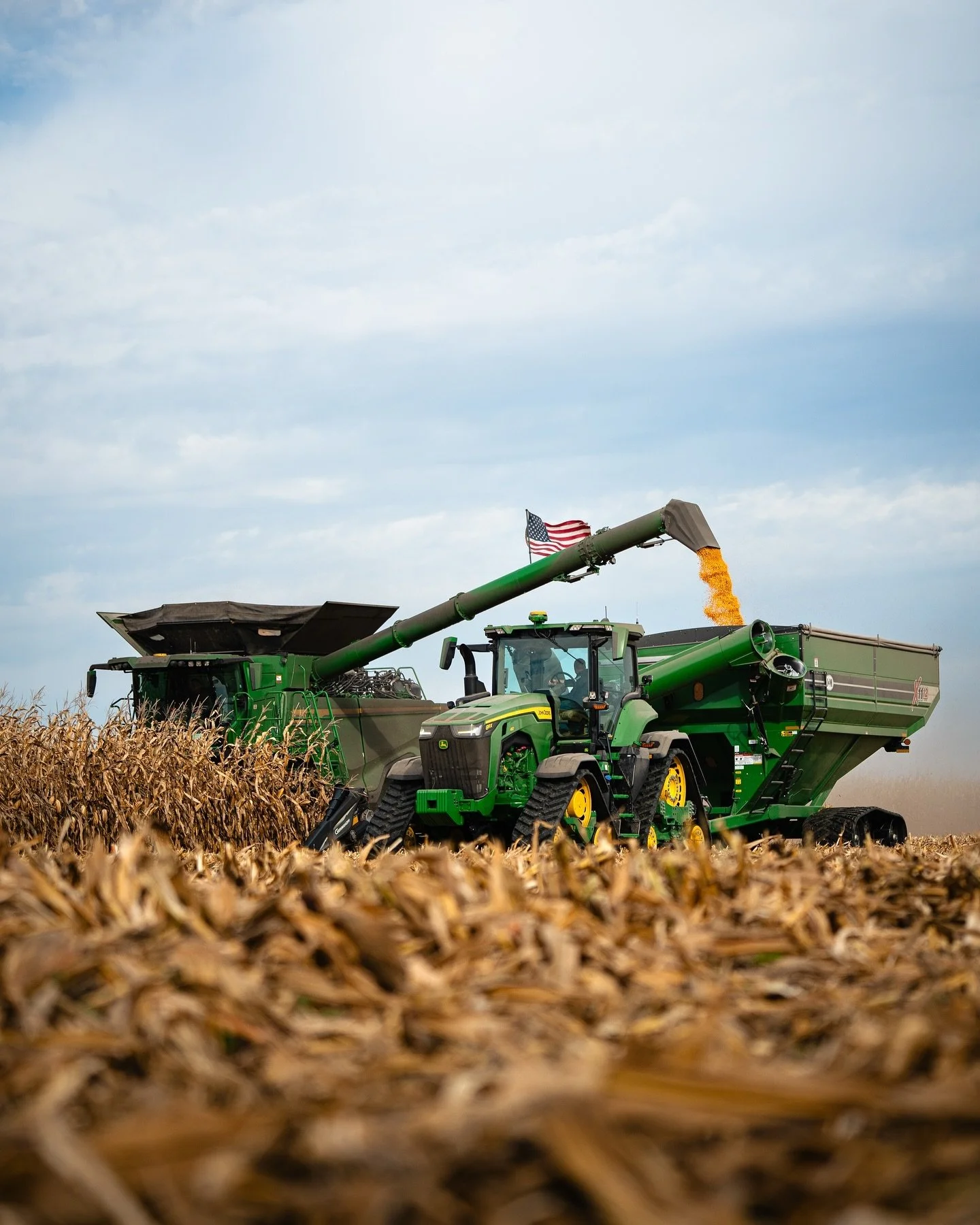 ➡️ Low or from on top of the bin? #harvest24