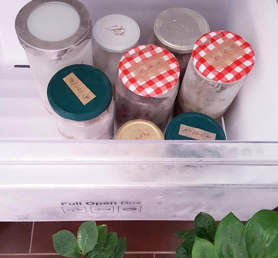 Freezing jars was a bit of a mystery to us in the beginning so if it feels that way for you too, these handy tips from @lesswaste_birdie might make the process feel a bit easier!⠀⠀⠀⠀⠀⠀⠀⠀⠀
⠀⠀⠀⠀⠀⠀⠀⠀⠀
Repost @lesswaste_birdie⠀⠀⠀⠀⠀⠀⠀⠀⠀
⠀⠀⠀⠀⠀⠀⠀⠀⠀
Jars are