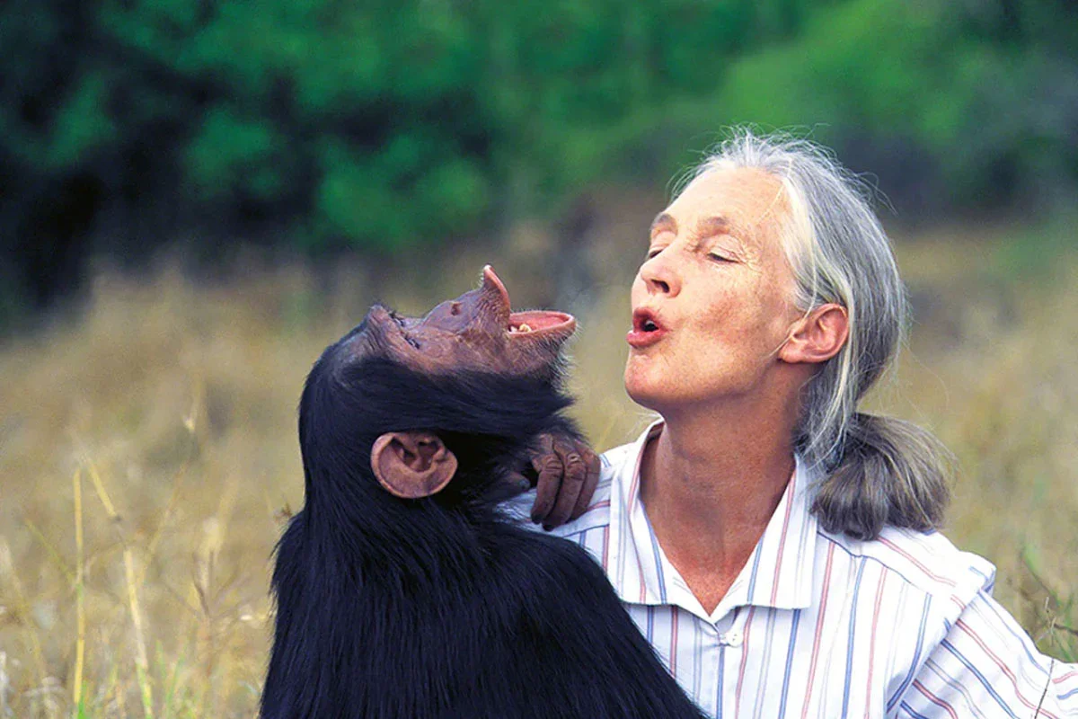 jane-goodall-Biography-for-Kids.webp
