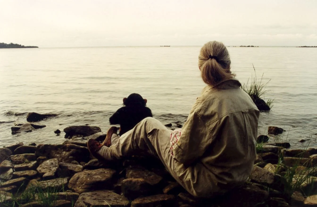looking-across-lake-with-chimp-high-res-by-the-Jane-Goodall-Institute-1.jpg