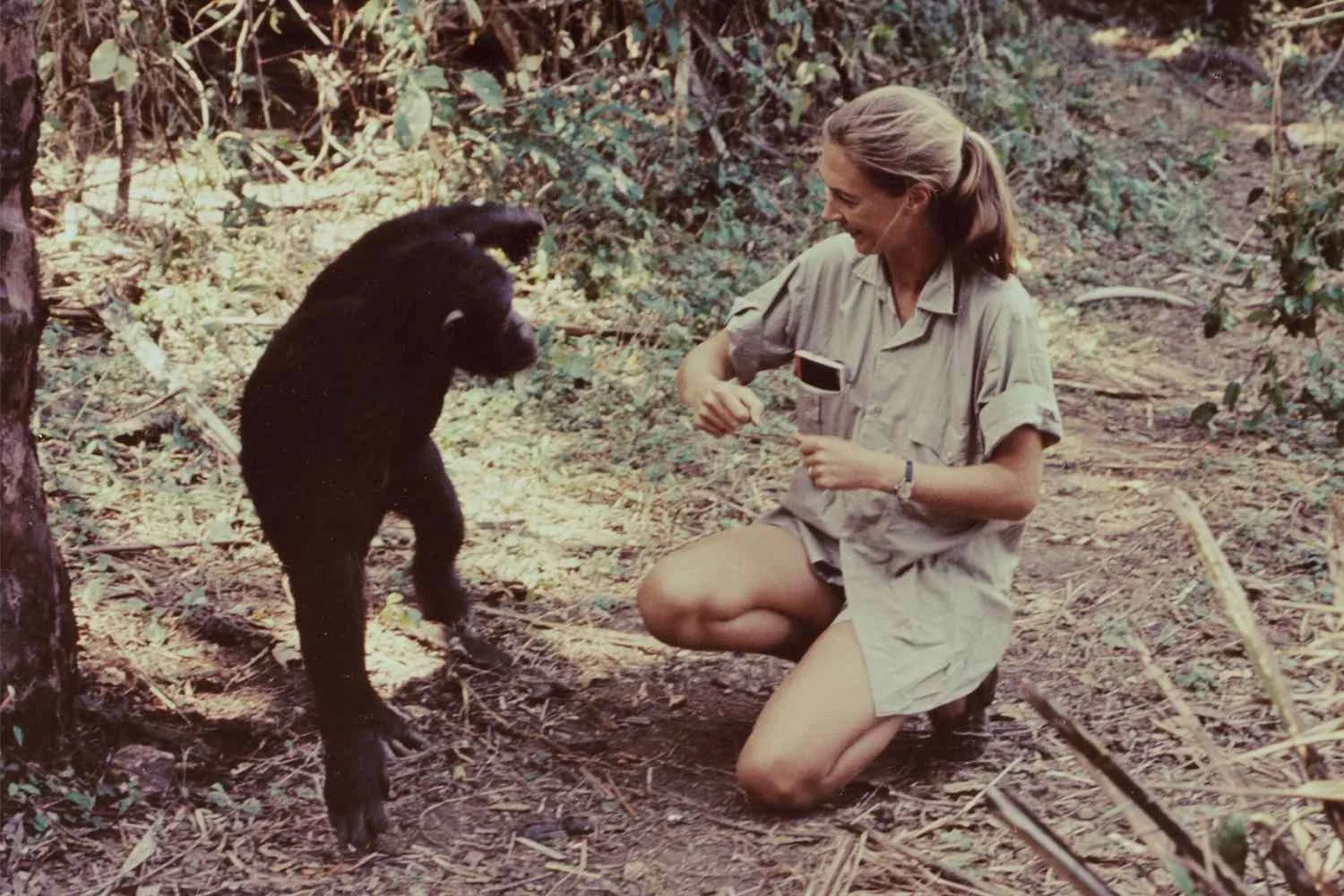 Jane-Goodall-052125-1-ca2185b98c144916bf4ba3d3189d6b89.jpg