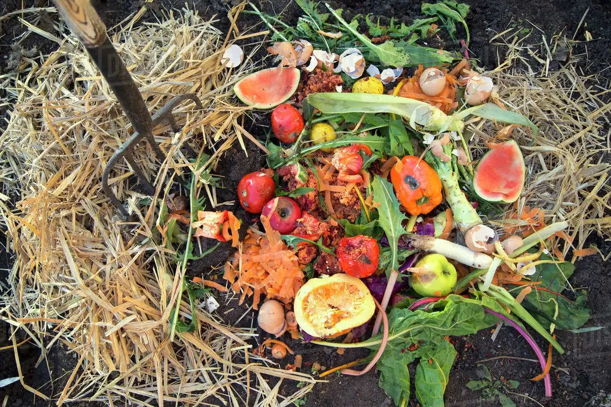 food-scrap-composting.webp