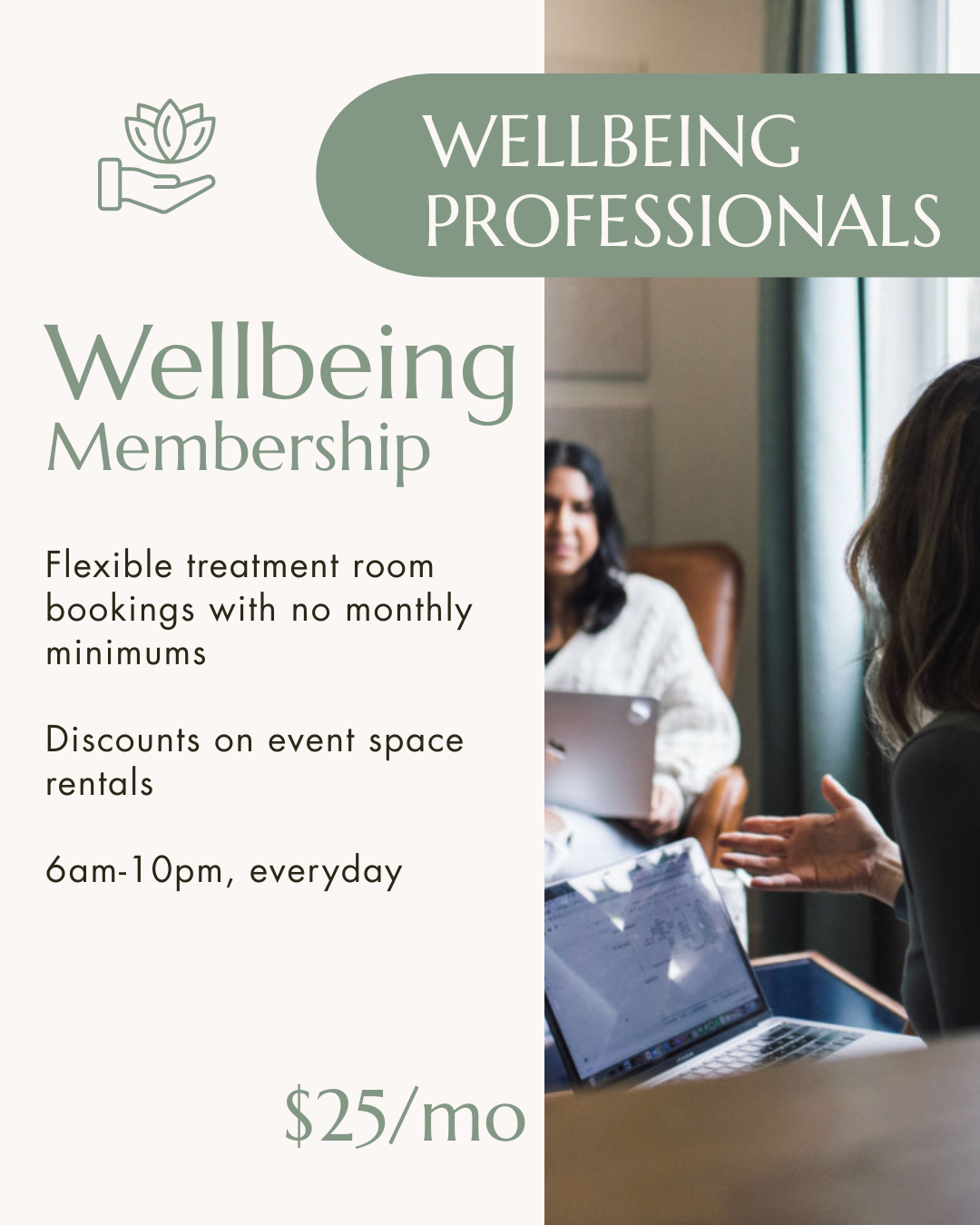 Wellbeing Professional Information