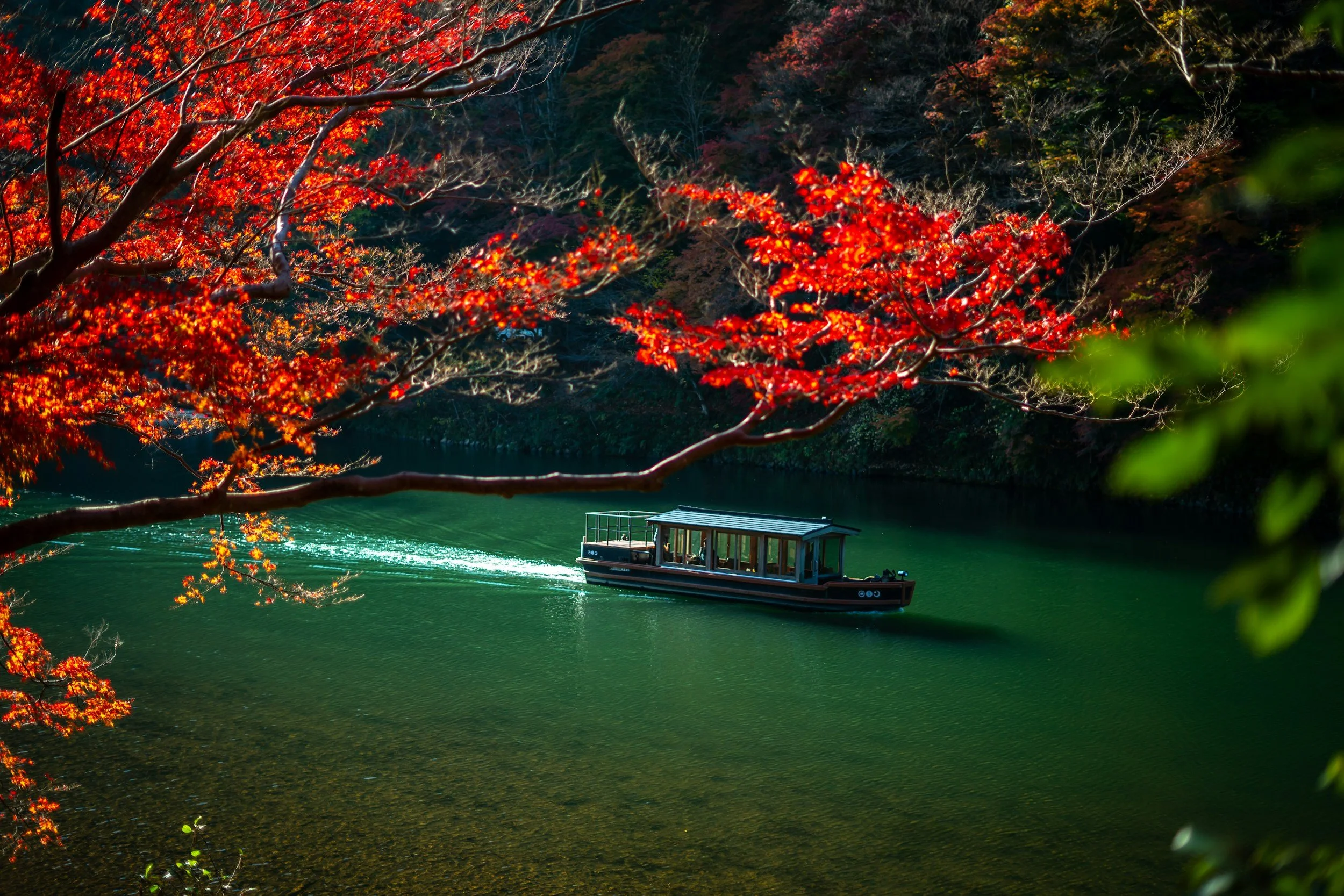 unsplash-image-kjsSHDpQfBo.jpg