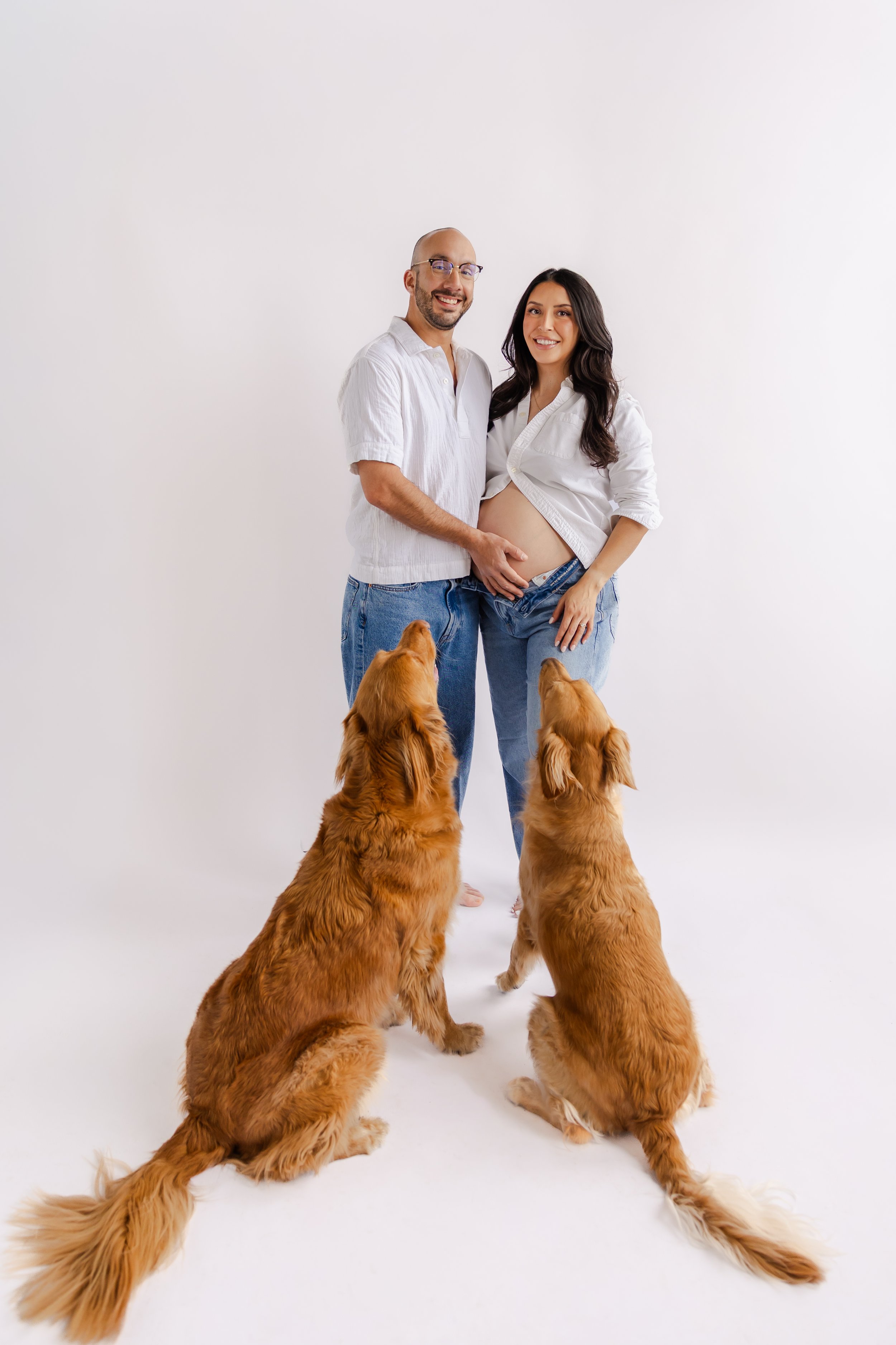 A pregnant woman and her partner with their four golden retriever dogs in a photo studio with a white background. The man is wearing a white shirt and jeans, and the woman is wearing a white shirt and jeans, with her hand on her belly. The dogs are sitting and standing around them, looking up at the woman.