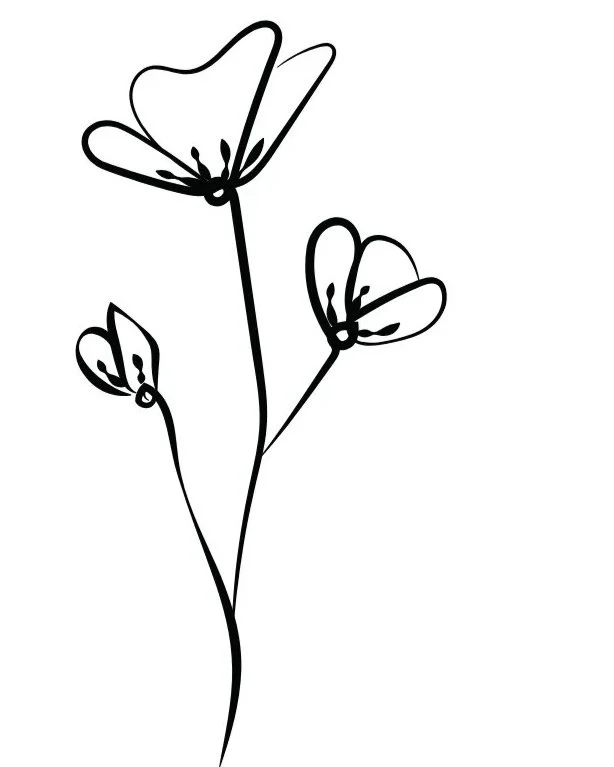 Minimalist black line drawing of a flowering plant with three blooms on a white background.