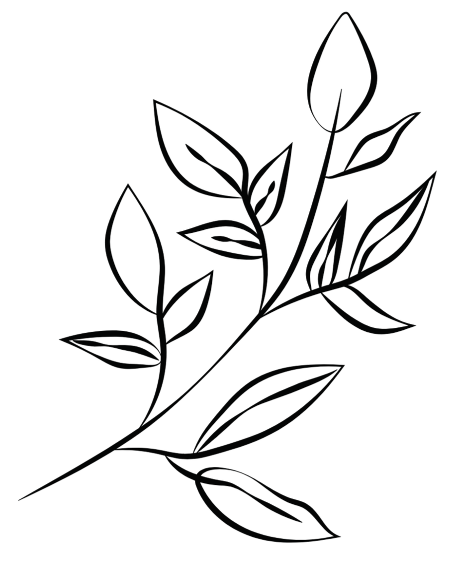 Outline of a flower with multiple leaves on a stem.