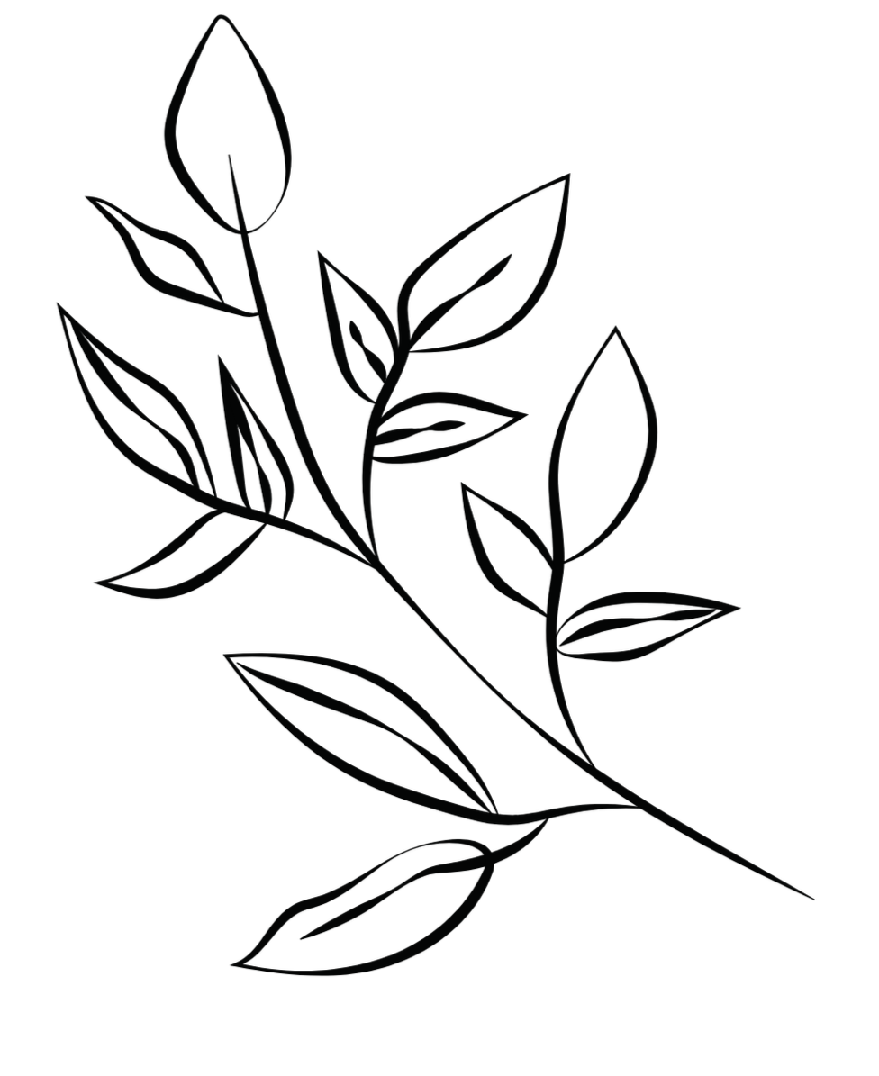 Outline drawing of a leafy branch with multiple leaves