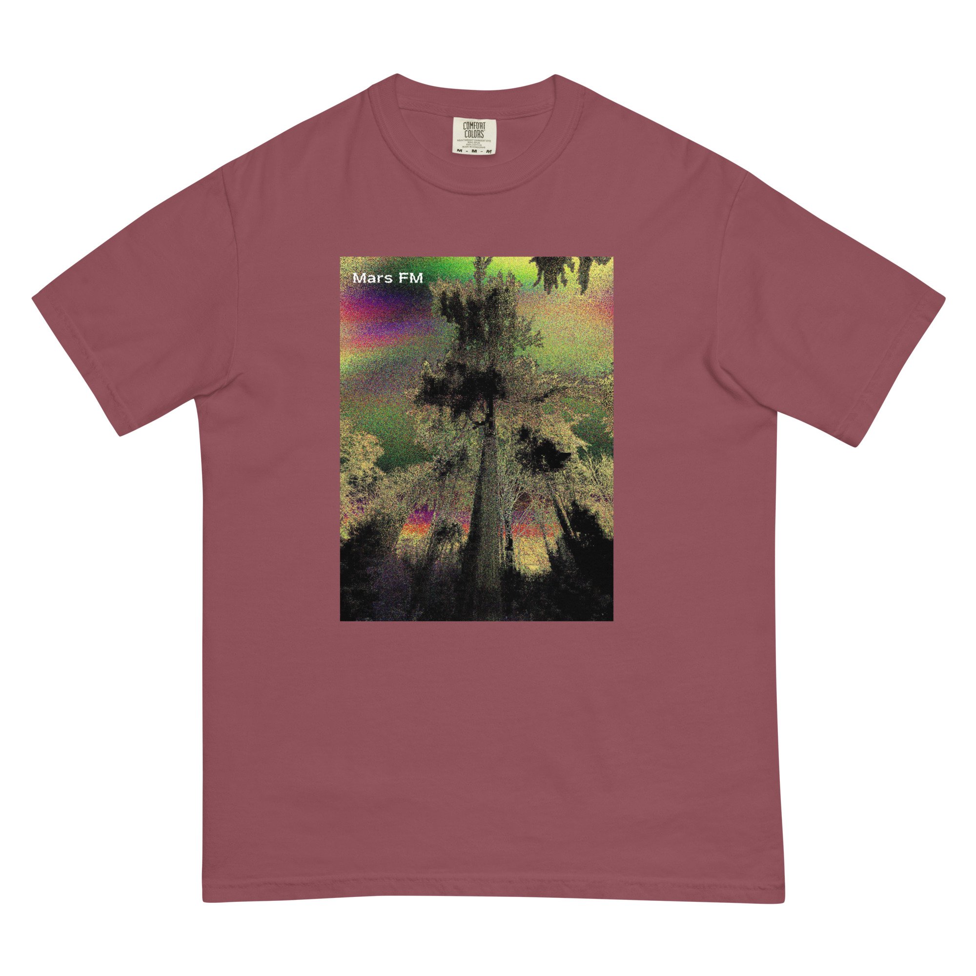 mens-garment-dyed-heavyweight-t-shirt-brick-front-64222ac269788.jpg