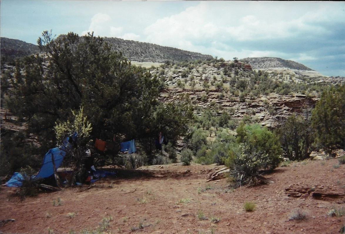 A Glimpse into a Wilderness Camp for Troubles Teens, and Why #igotout Before I Got In...
