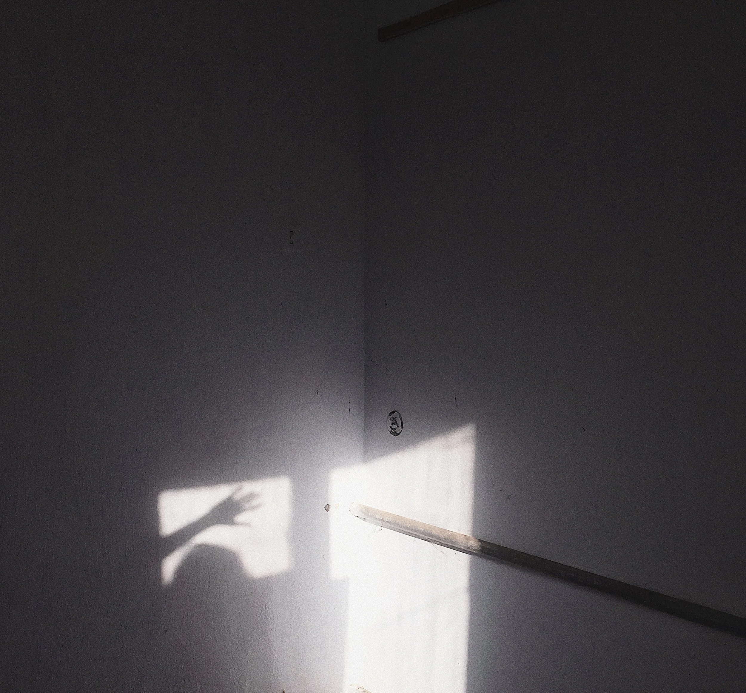 Patch of Sunlight...