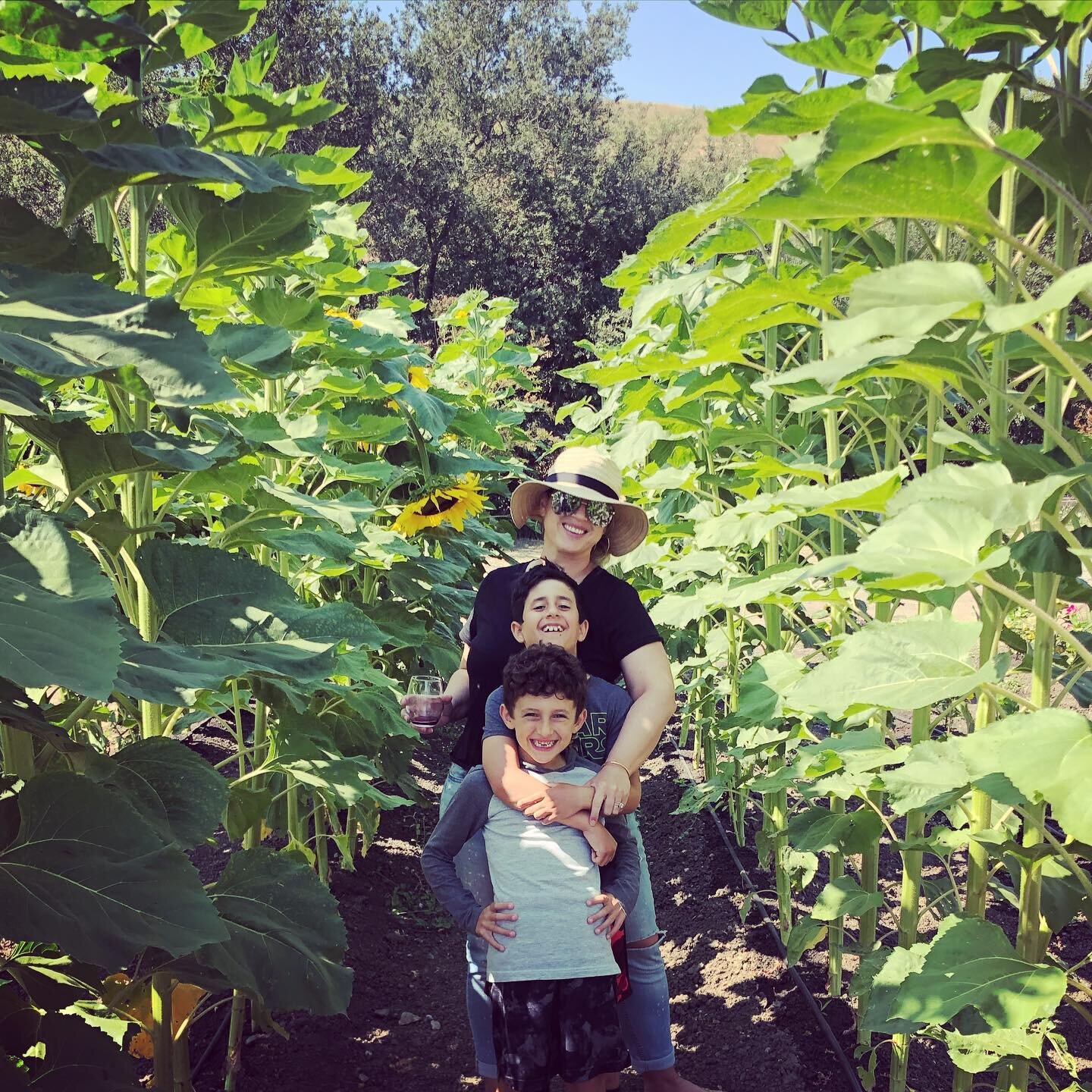 Wednesday&rsquo;s are for wine tasting, giant sunflowers and these boys!
🤍🌻🍷

#summer #californiaadventure #cambria #centralcalifornia