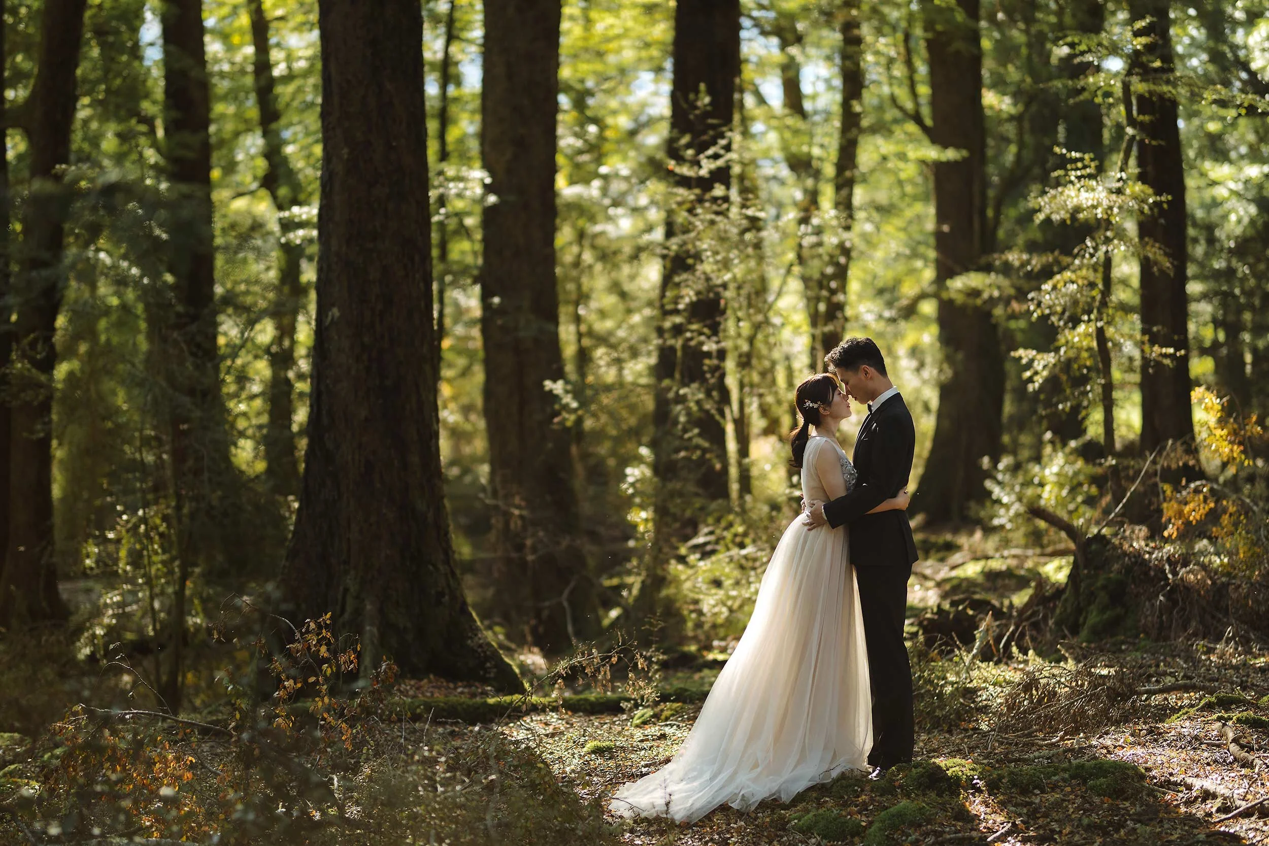 Glenorchy Paradise Forest Wedding Photoshoot