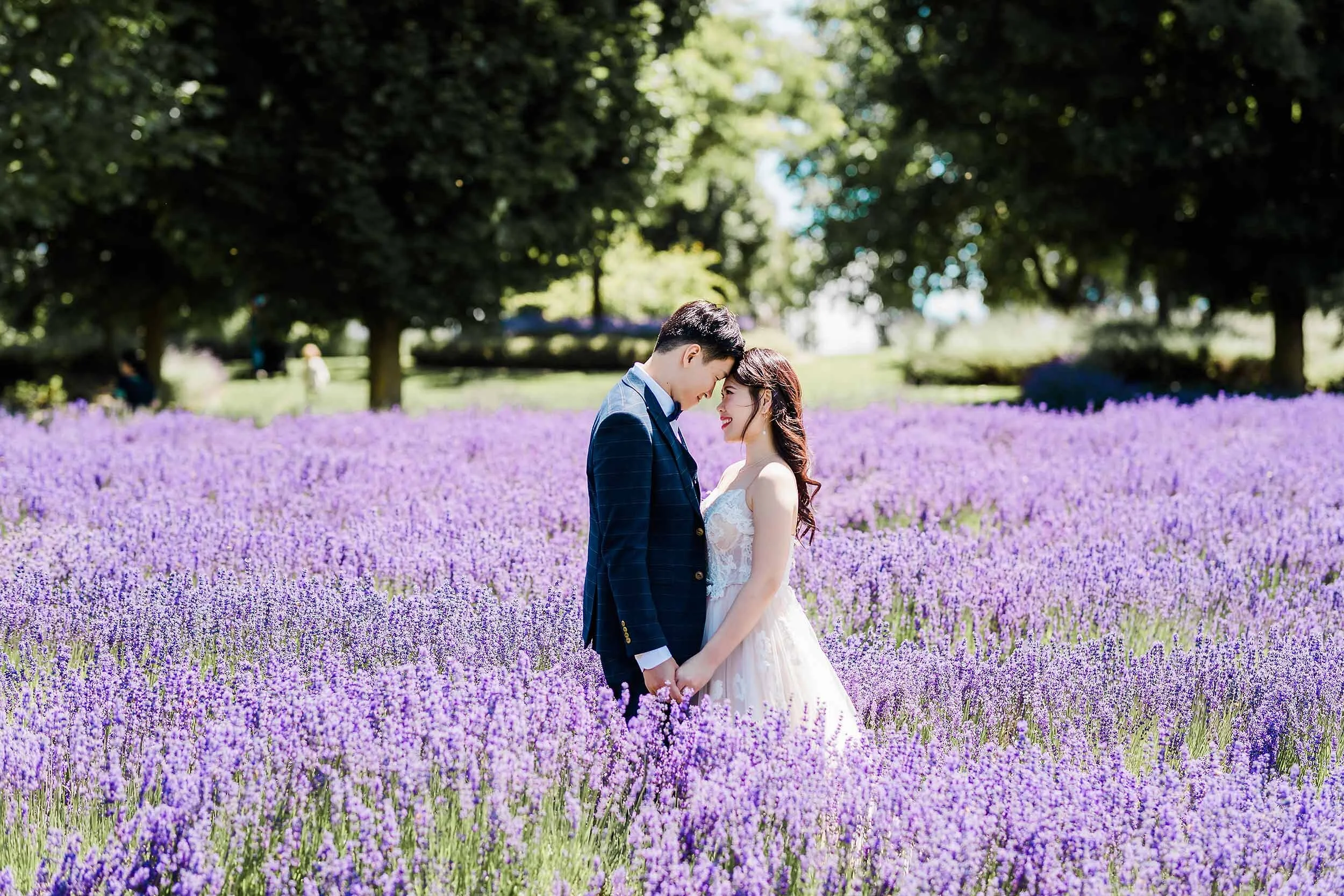 Wanaka Lavender Farm Wedding Photo