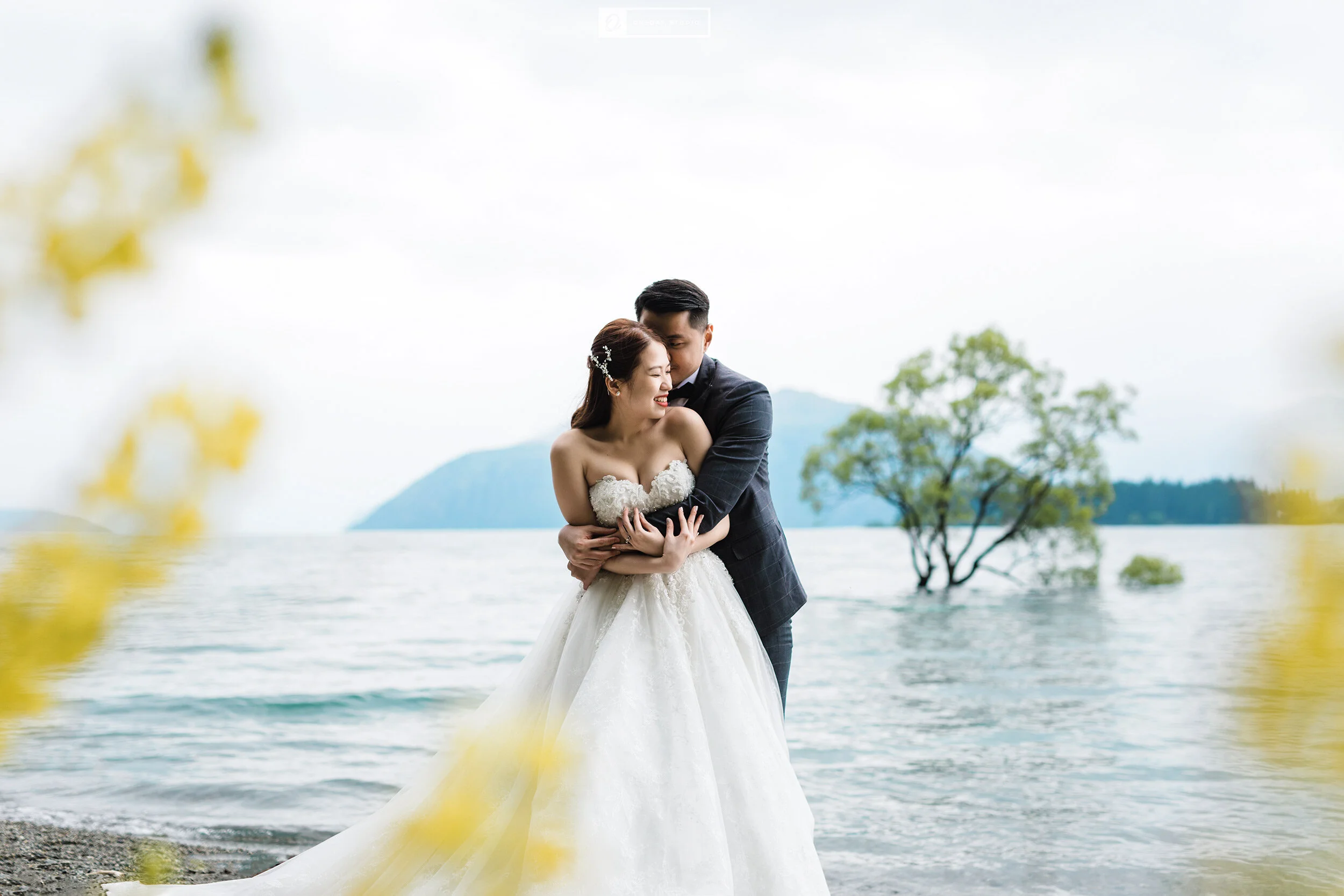 Wanaka Tree Wedding Photoshoot