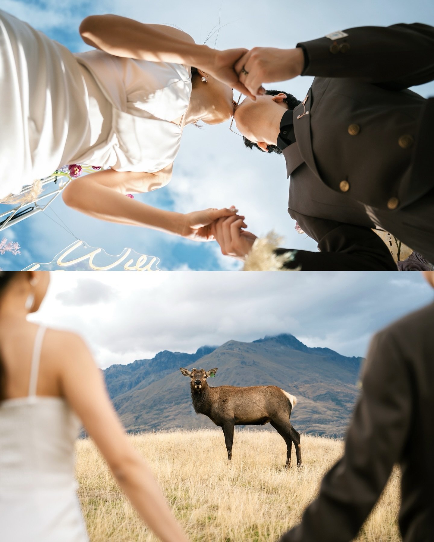 Where Mountains Whisper, and Love Surprises. At Deer Park Heights,
a proposal unfolded in whispers,
where love chose to speak in silence.

Planning &amp; Decor @amoment_wedding @amoment_styling 
Photography @feliximage 
Venue @deerparkheights 

#prop