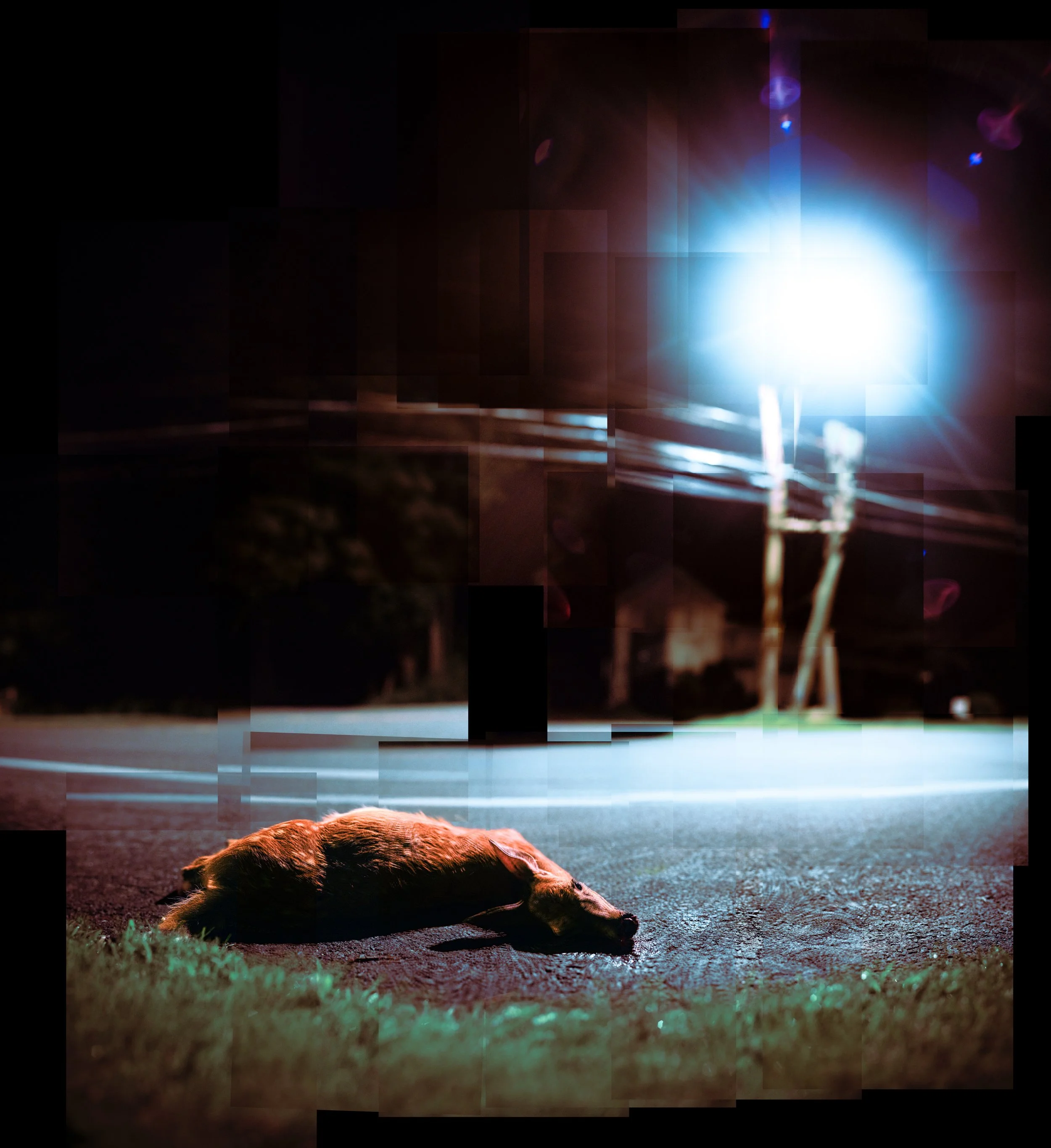 132 · i found heartbreak lying on the side of the road the other night. 

i stopped and knelt with her in vigil, said a prayer for her spirit's passage and laid a tender hand on her spots--she was still warm. 

the only thing we have to give is our c