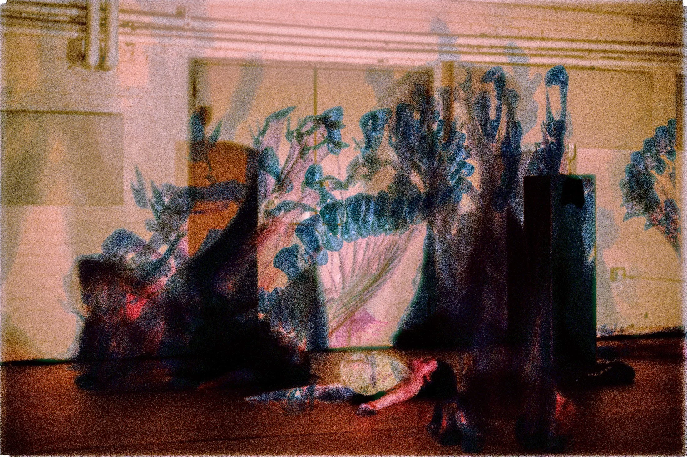 055 · (may 2025)
untitled, after lascaux