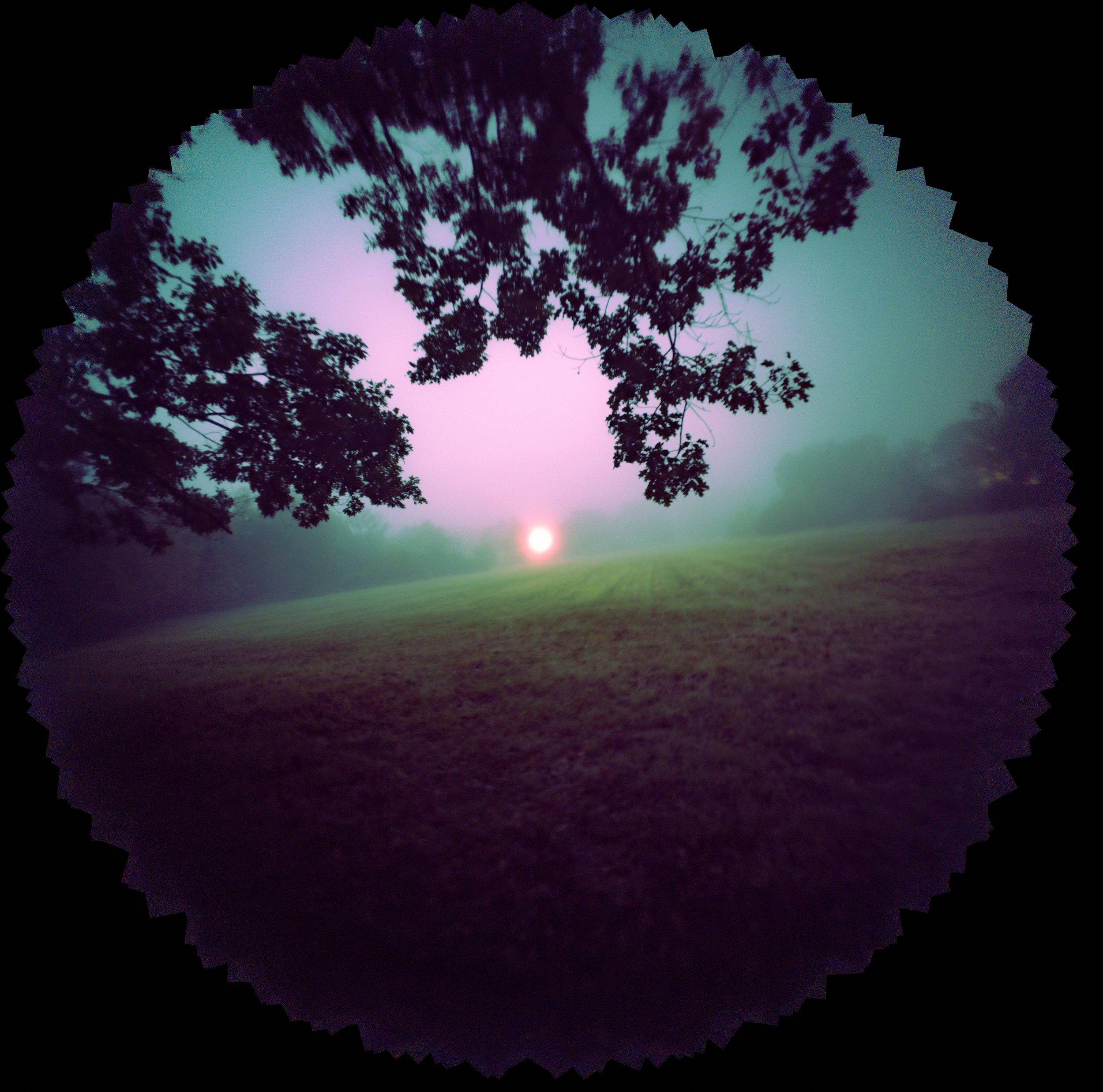 143 · it finds me in the shadow of the earth · 09/2026