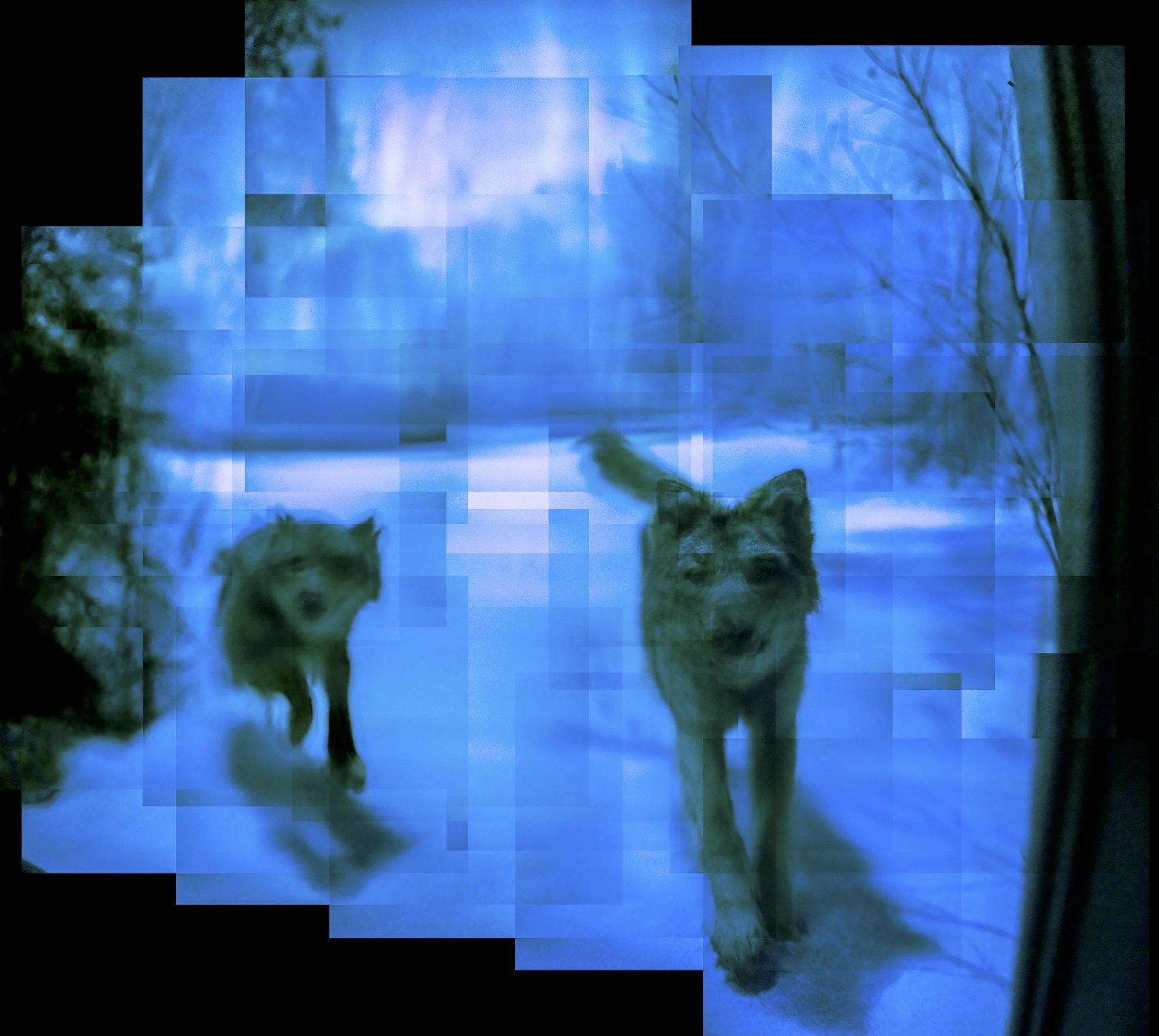 061 · (may 2025)
judgment by the hounds