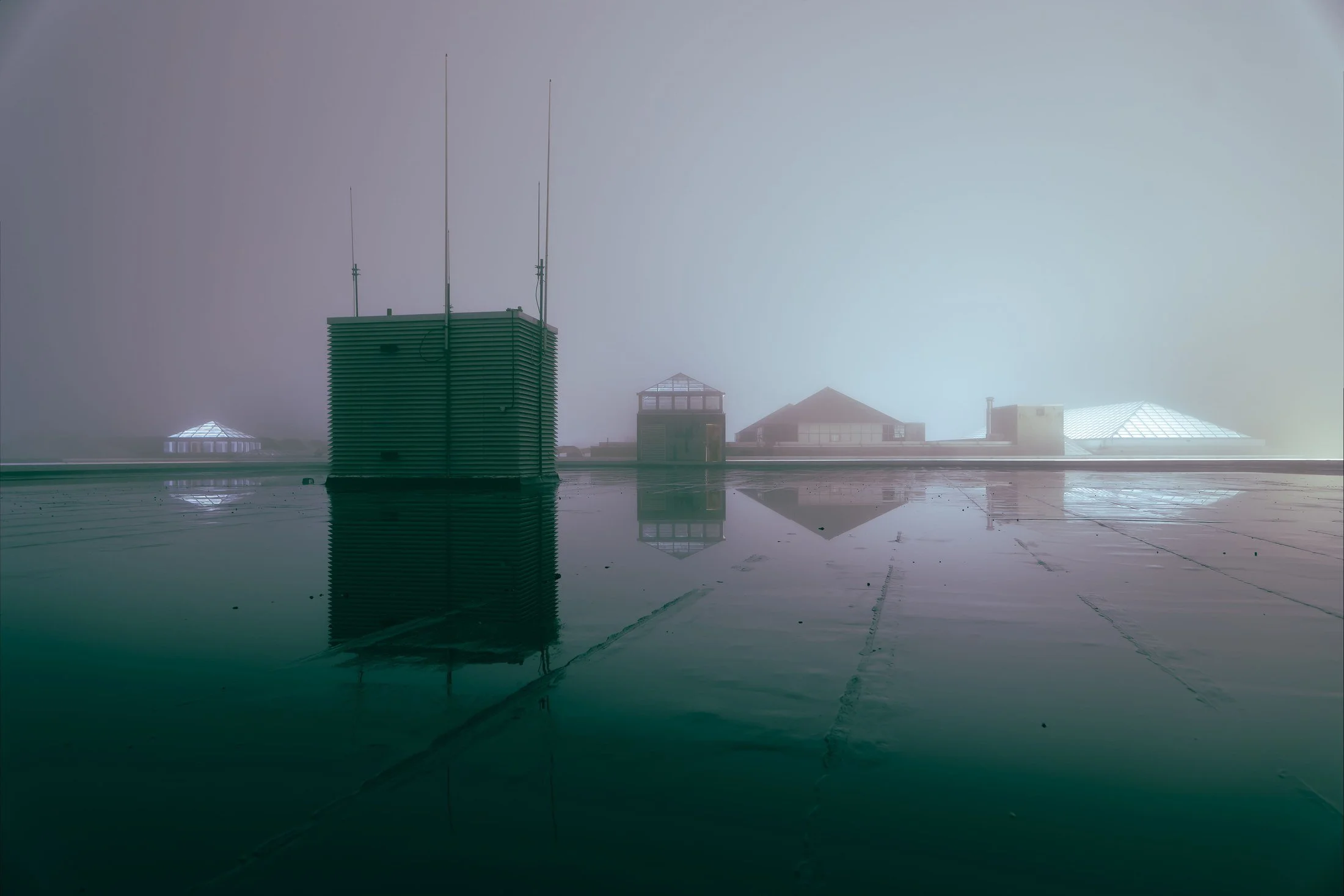 020 · (december 2021)
suññatā