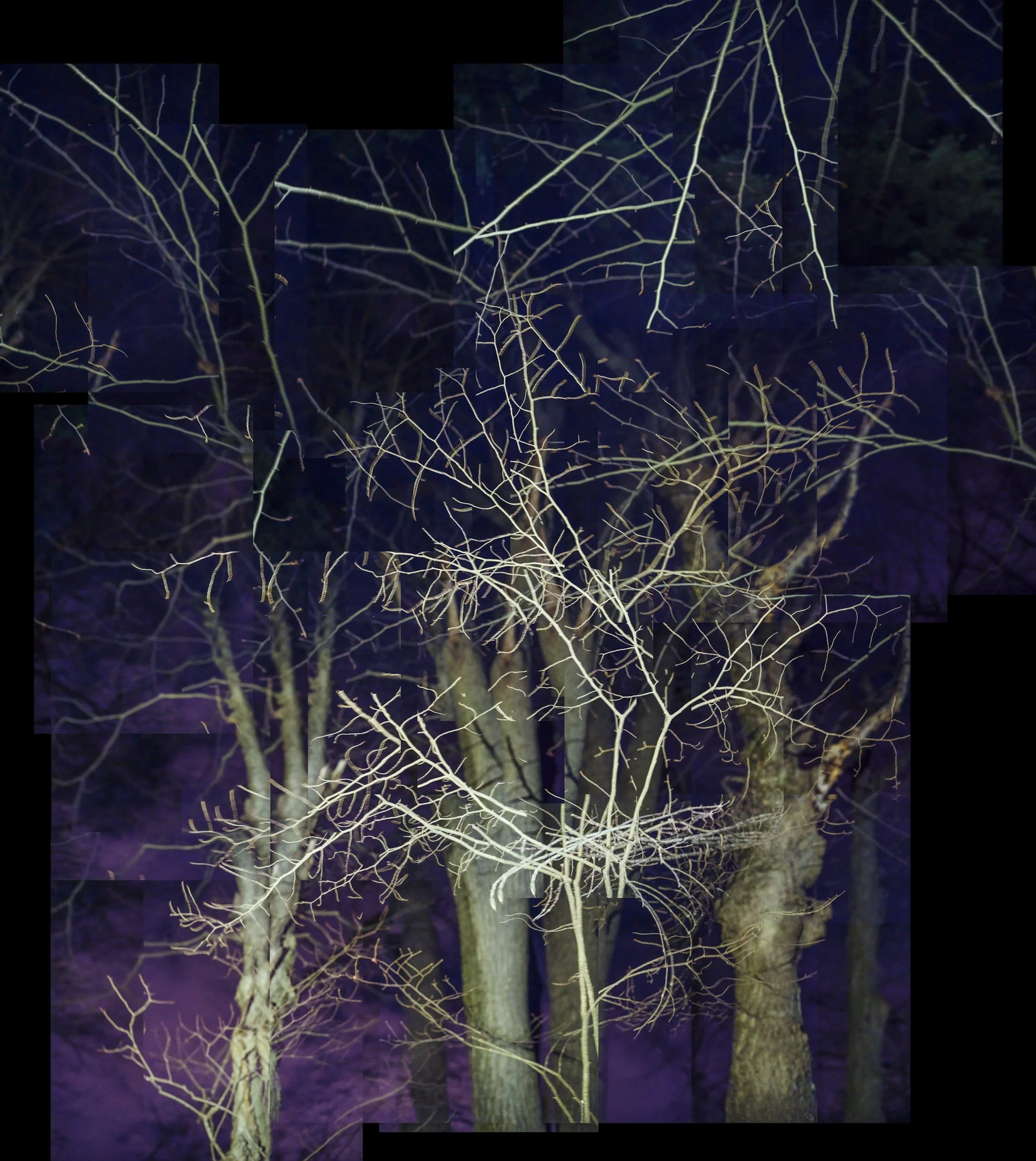 053 · (april 2025)
forest sigils