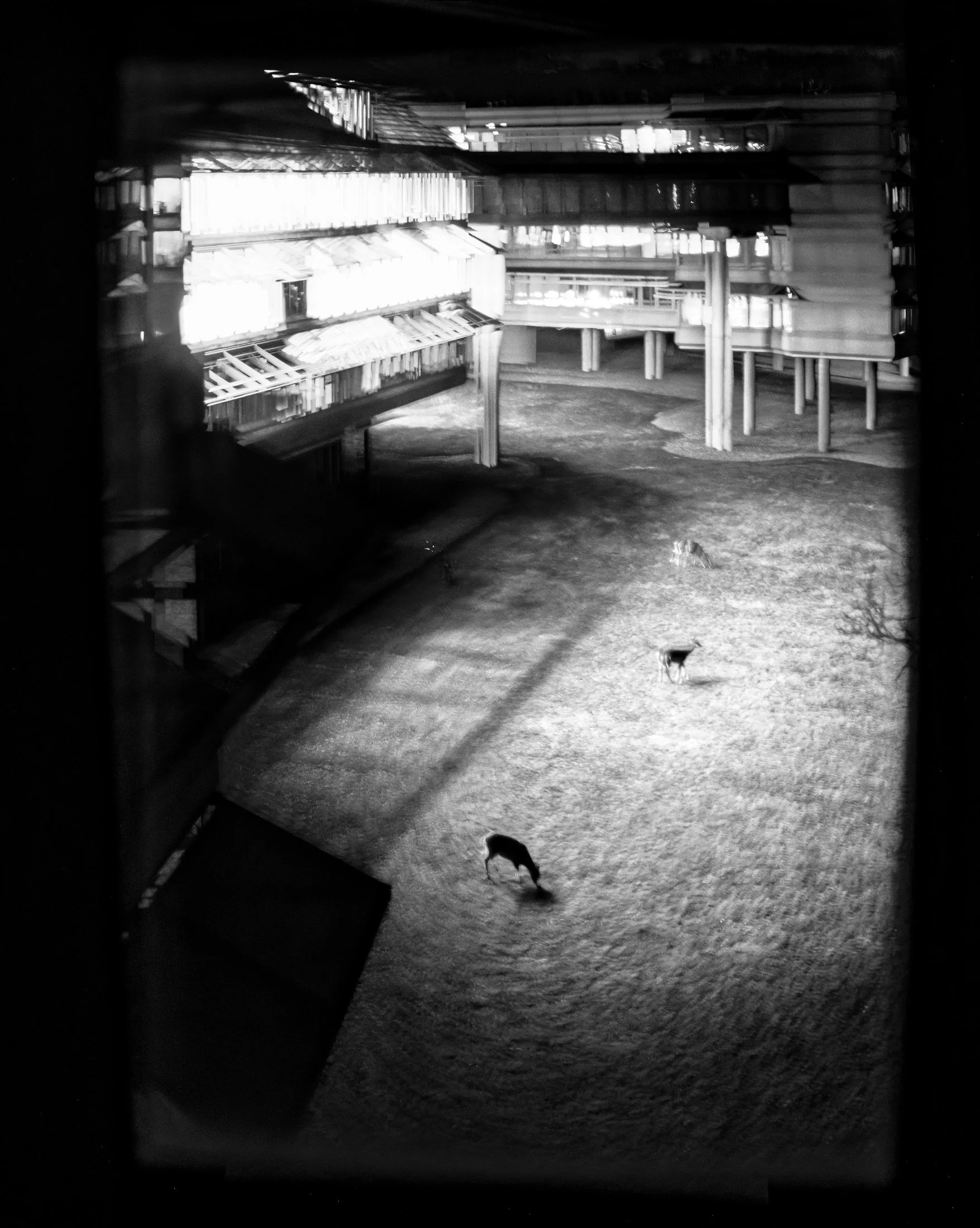 070 · (december 2025)
getting crushed by it is a rite of passage