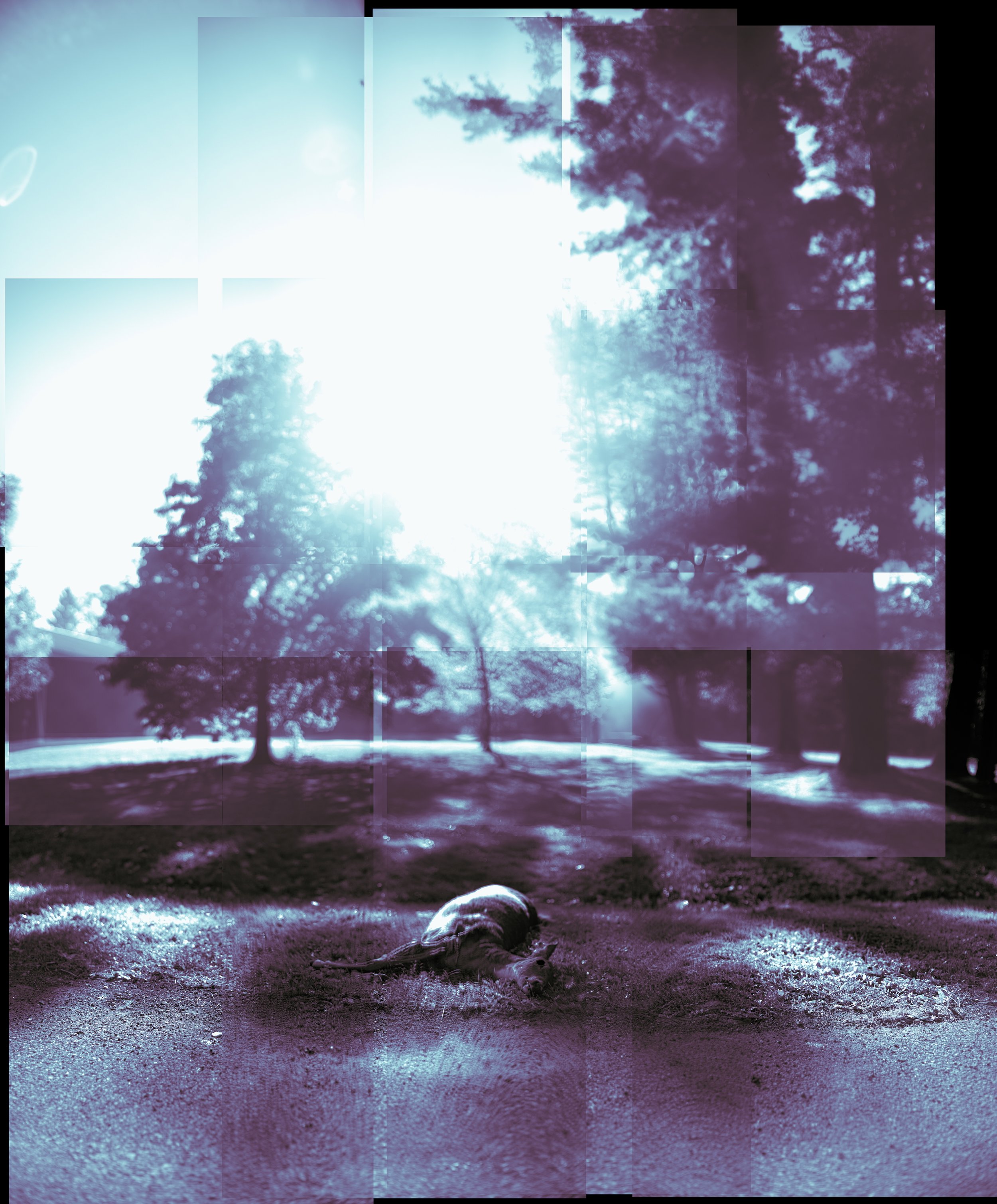 147 · seeing is an epitaph, a goodbye to the moment just fled; in knowing, time is interred to memory. the vultures reclaim the eyes first. · 10/2026