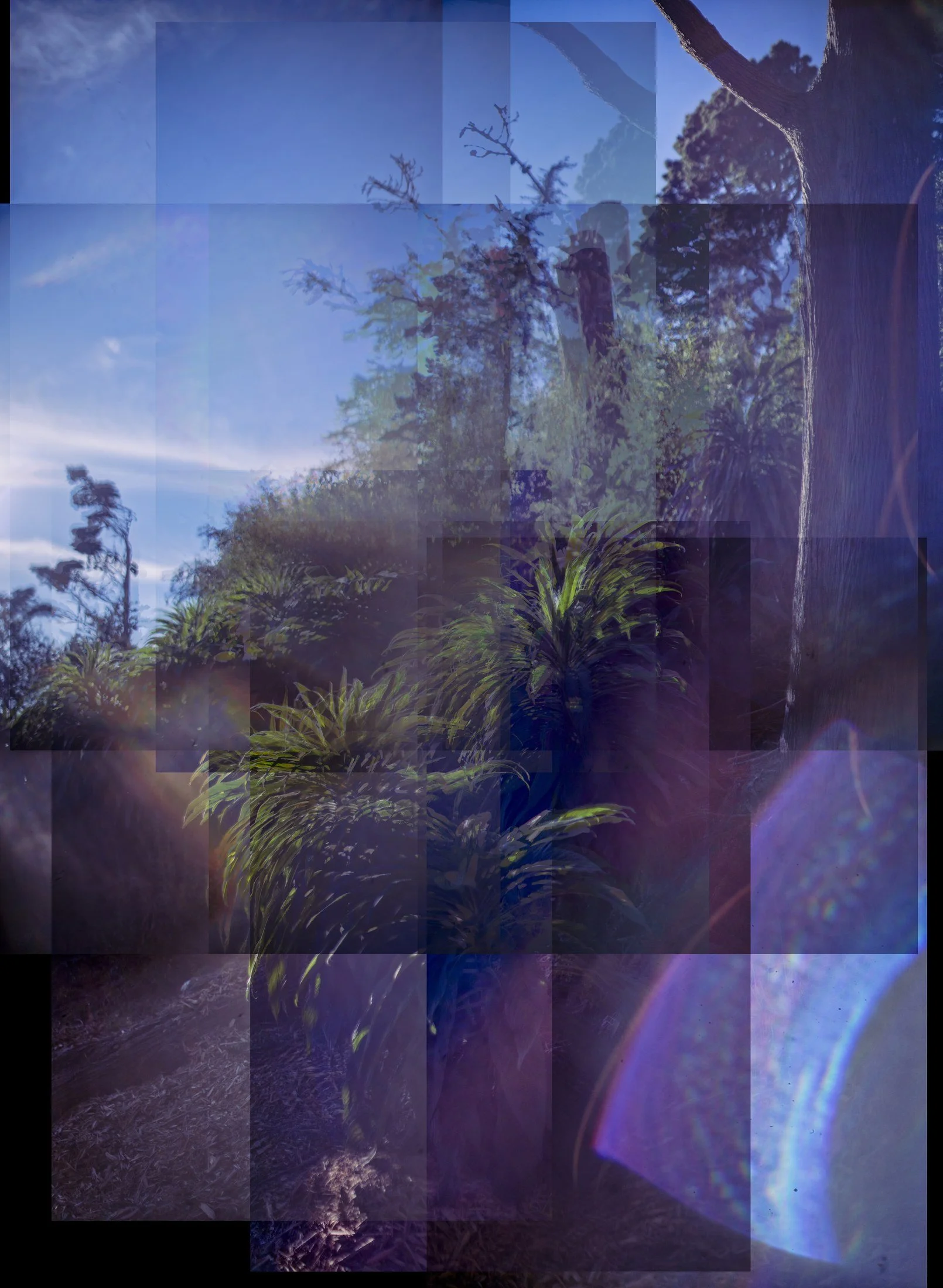 051 · (december 2024)
entopsis