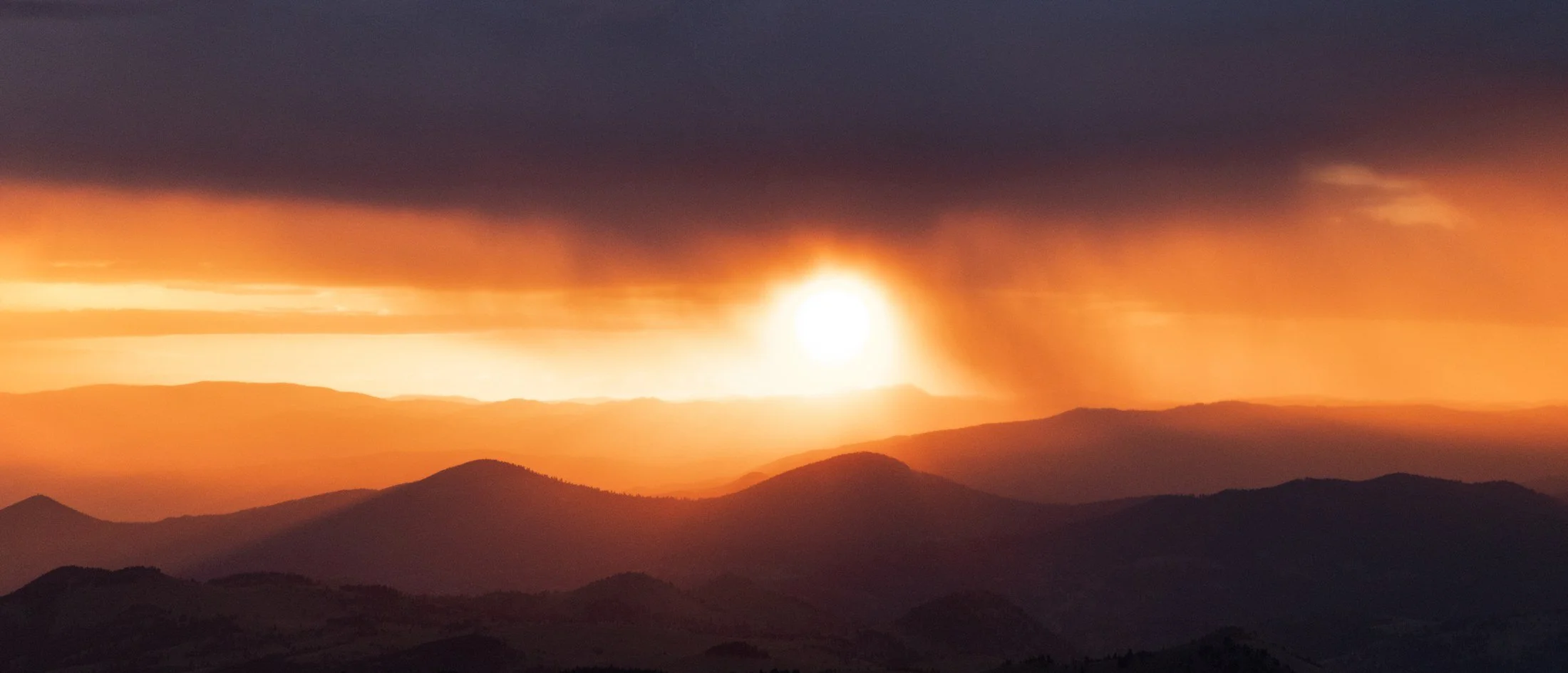 007 · (july 2020)
the sun also rises