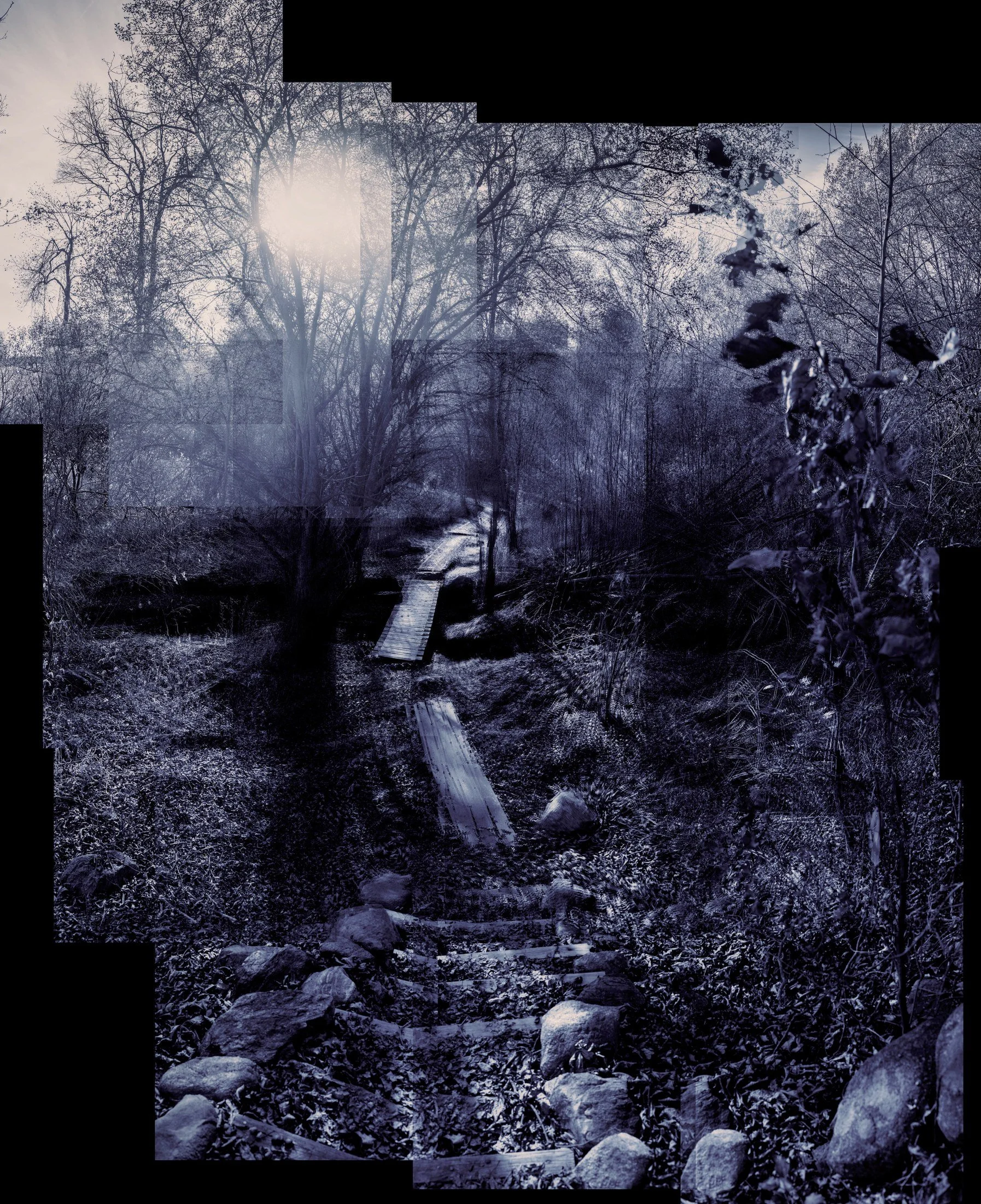 027 · (november 2023)
i'm dragging a dead deer up a hill