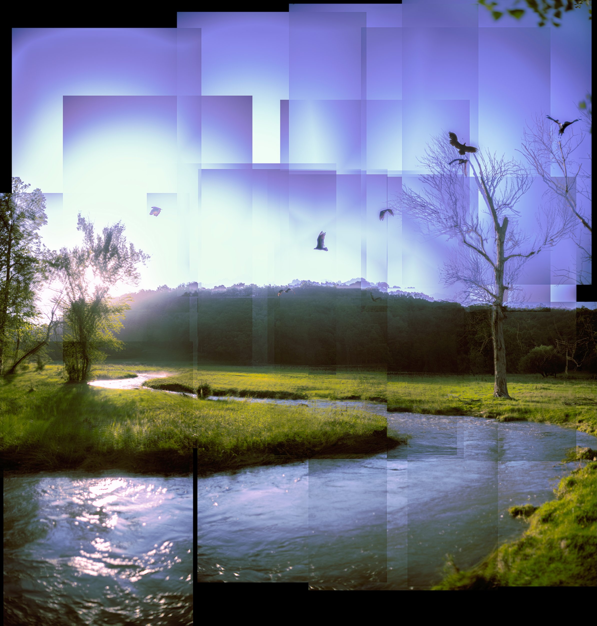 126 · (july 2026) 
walk far enough upstream in search of the waters' beginning, and on the doorstep of the source, you will be greeted by a committee of vultures;

they will regard you as the evening sun floods your eyes, and ask without words--your 