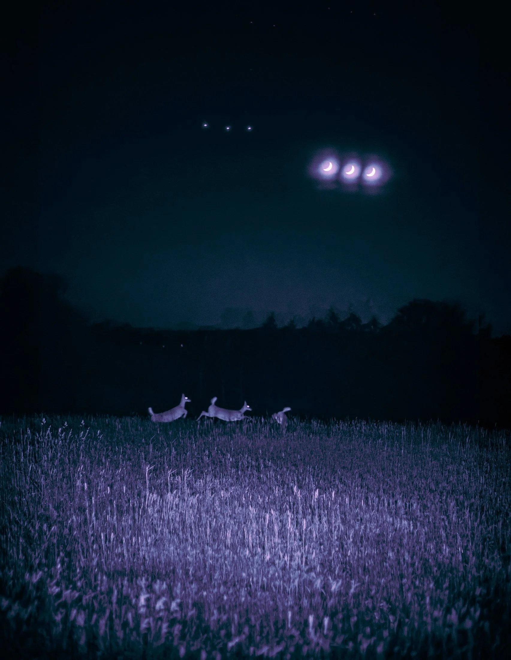 113 · (may 2026)
the flight of the instant