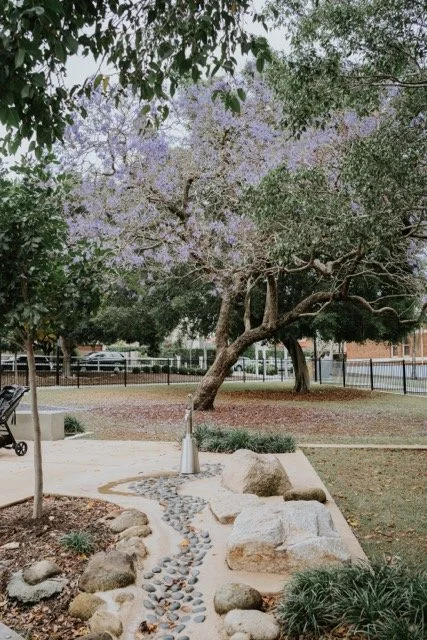 KIR07095 Medium.jpeg