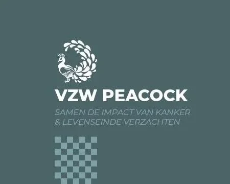 Onderweg naar zichtbaarheid