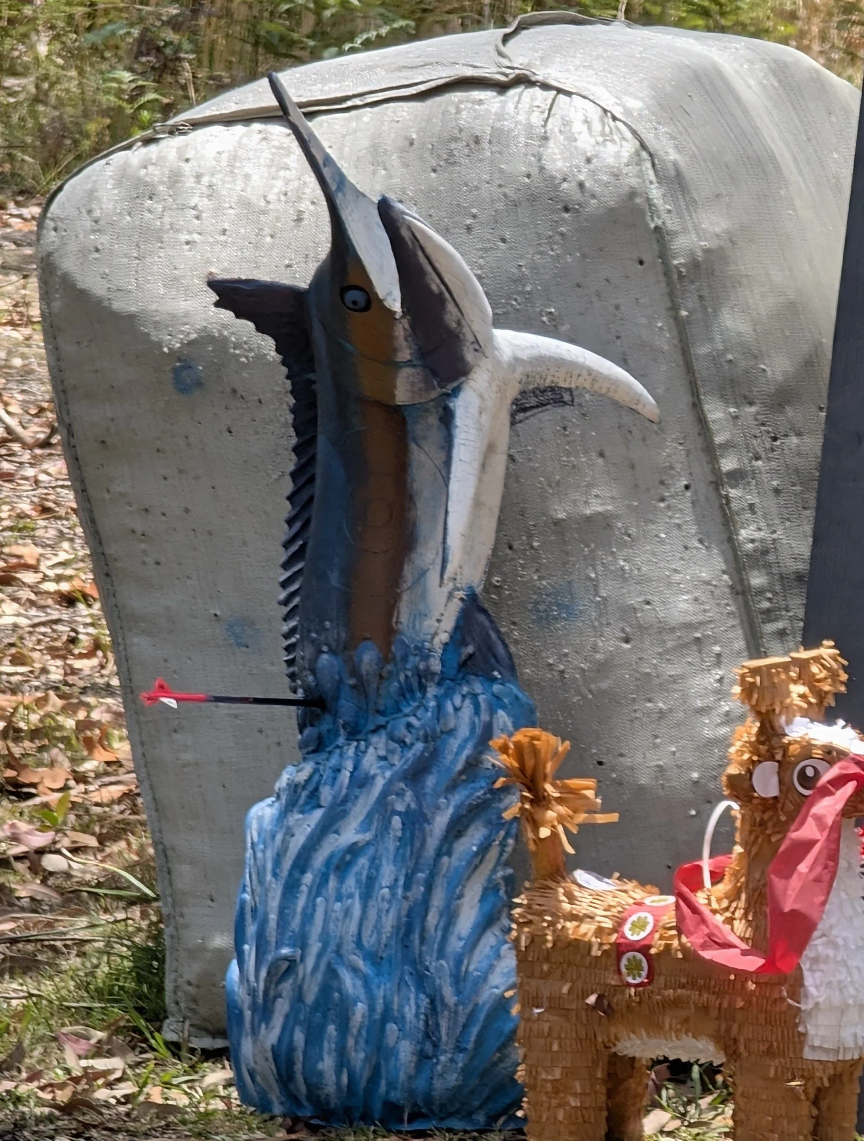 PXL_20251214_021815764.jpg