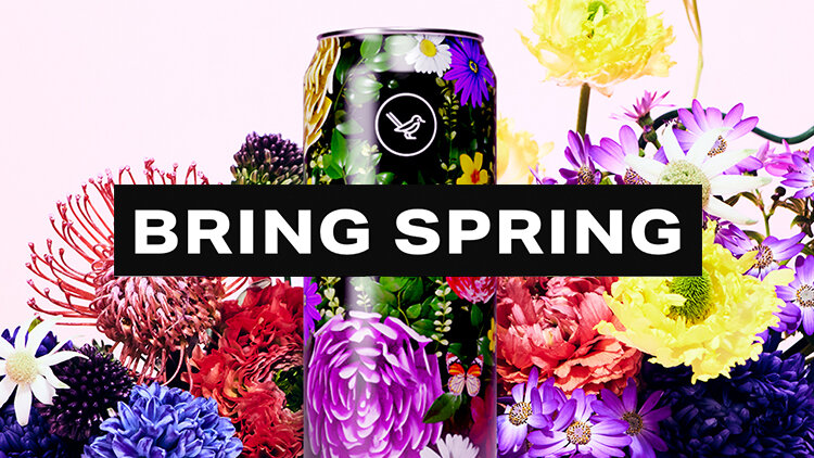 Bring Spring Beer - OHKO Champions - Magpie Brewing Co.